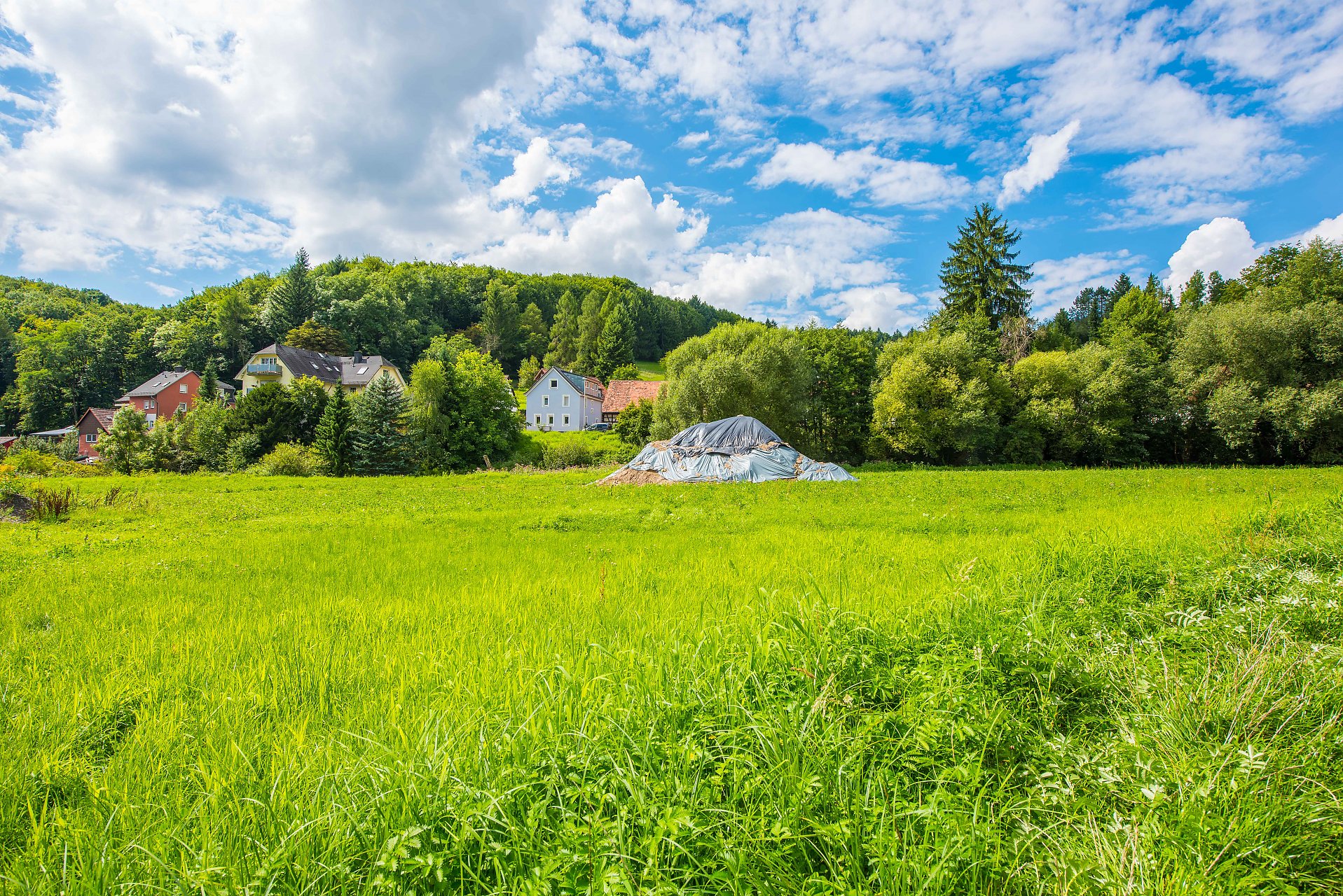 Bensheim  Kompaktes, helles Baugrundstück in Waldrandlage - Oliver Reifferscheid - Immobilienmakler Darmstadt