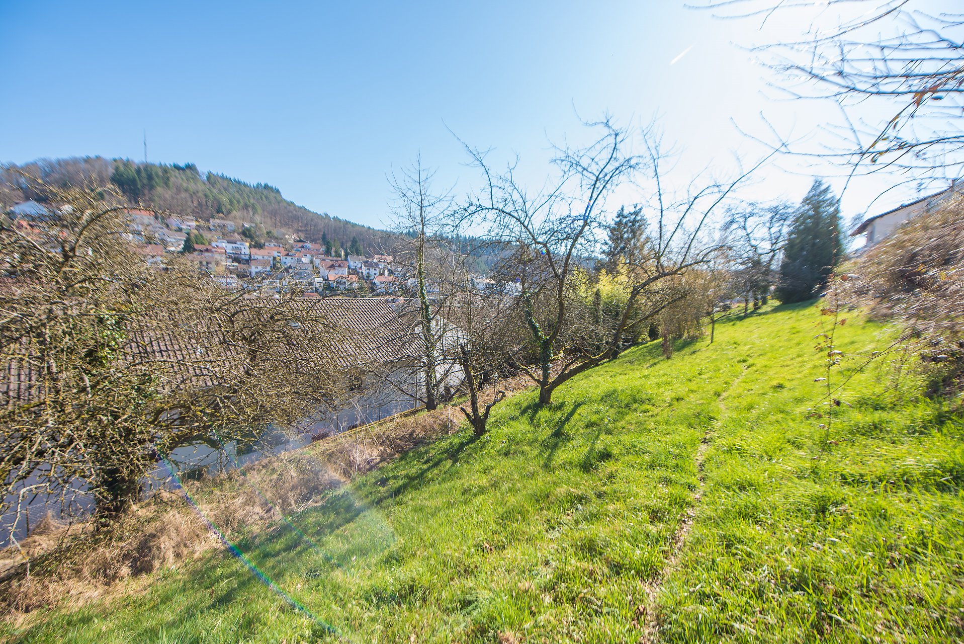Altenbach Villengrundstück mit zusätzlichem Ein-, Zweifamilienhaus in Hanglage mit ordentlicher Substanz - Oliver Reifferscheid - Immobilienmakler Darmstadt
