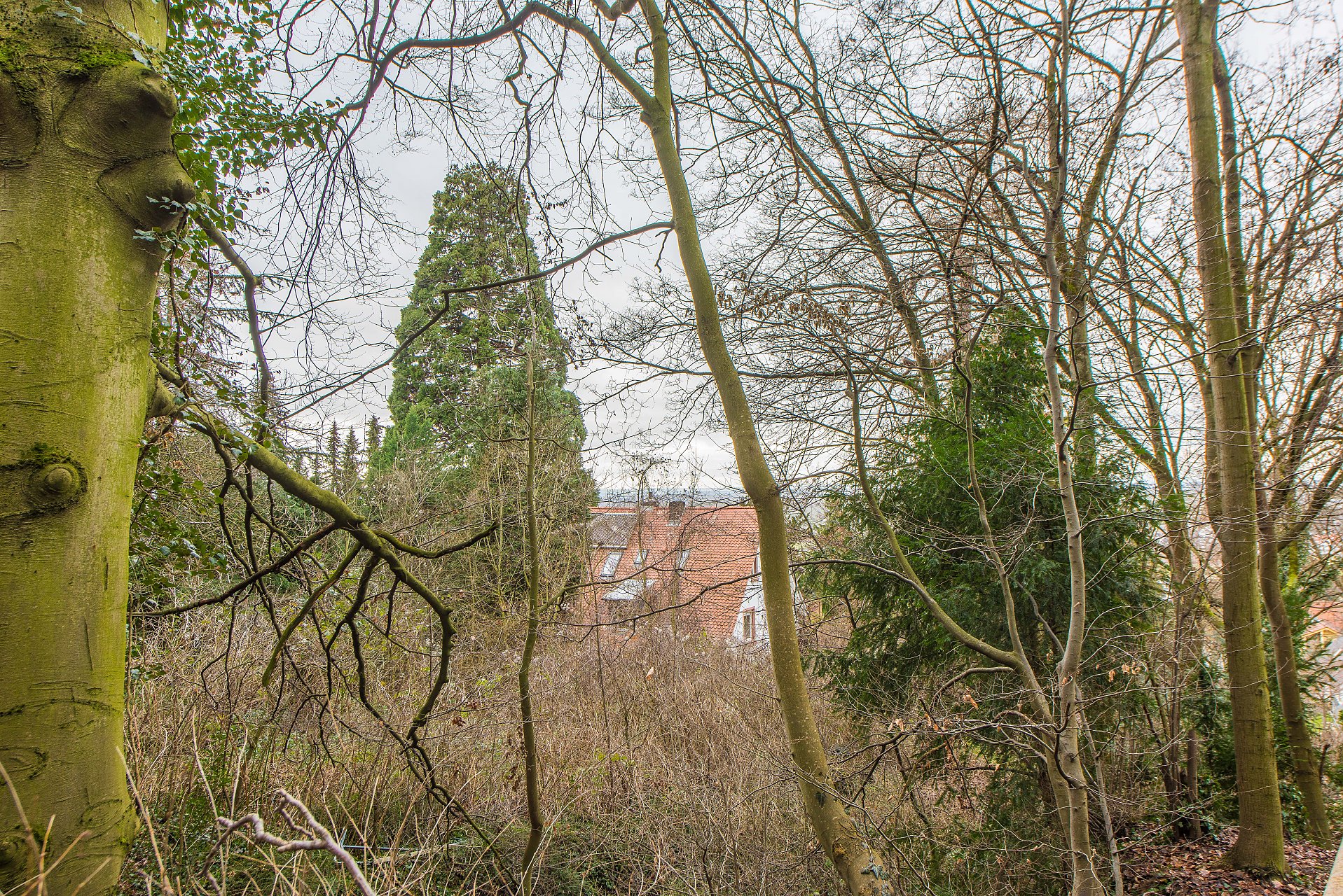 Seeheim Naturnahes Baugrundstück in oberster, bester Hanglage, sofort Bauen - Oliver Reifferscheid - Immobilienmakler Darmstadt