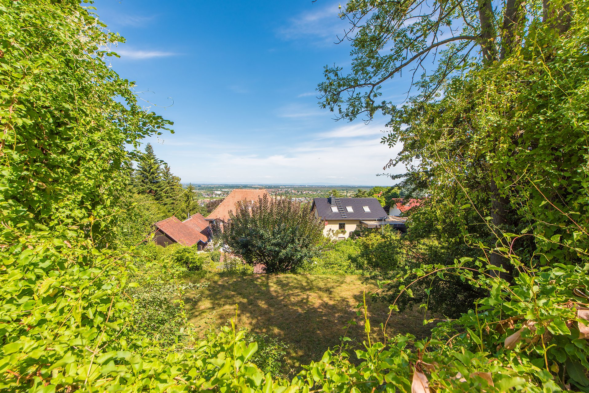 Alsbach Baugrundstück in bester, oberster Hanglage - Oliver Reifferscheid - Immobilienmakler Darmstadt