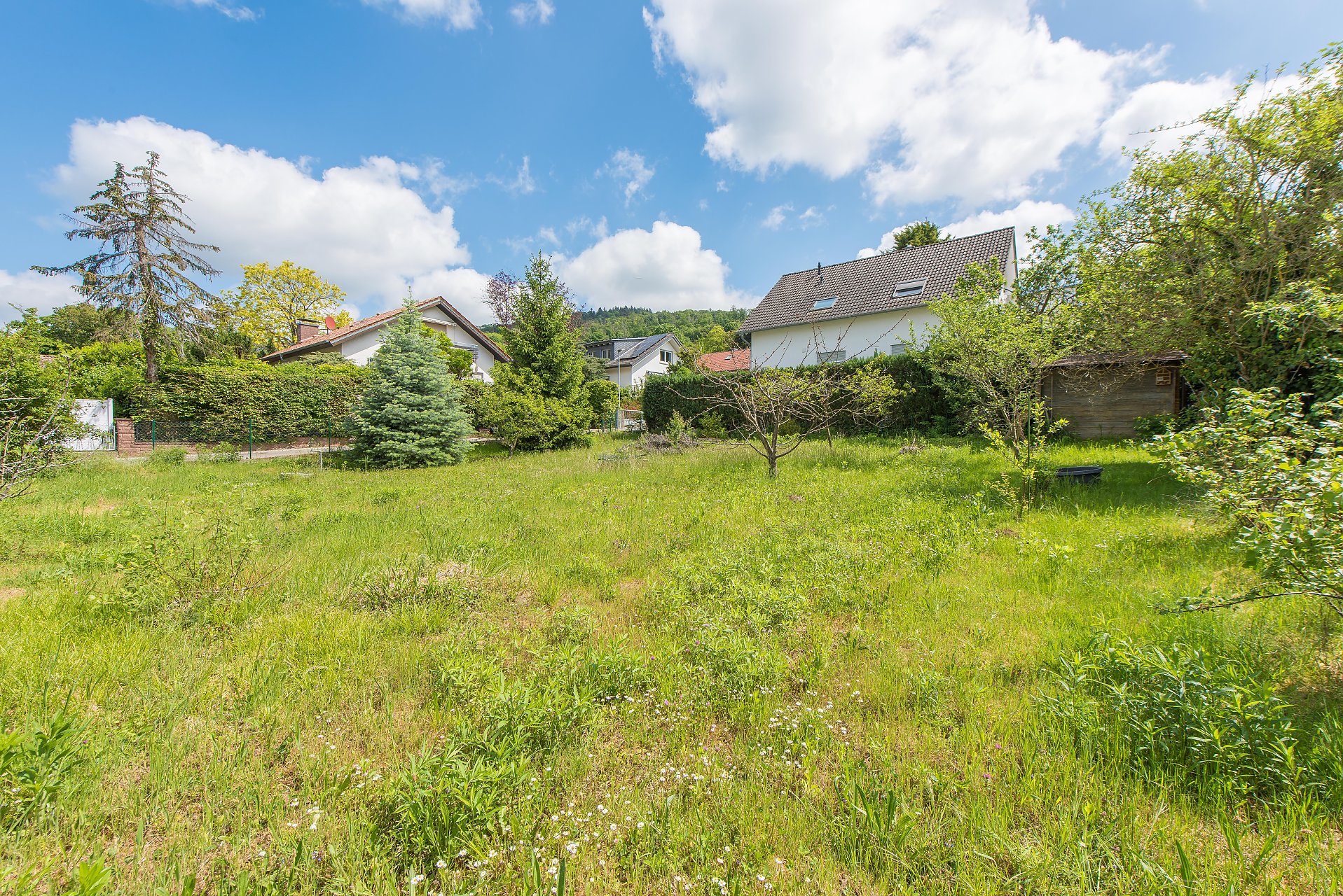 Seeheim-Jugenheim Ebenes, fast quadratisches Grundstück in sehr guter, mittelhoher Hanglage - Oliver Reifferscheid - Immobilienmakler Darmstadt