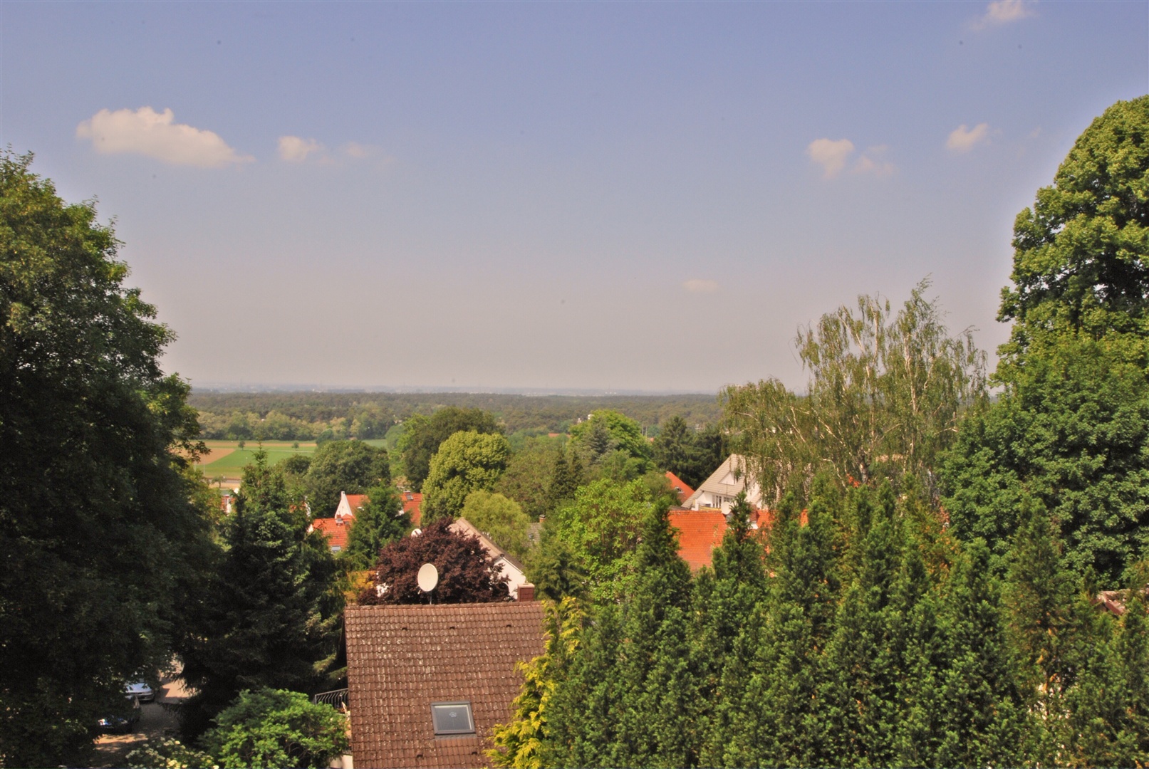 villa in jugenheim: panoramablick von der oberen terrasse - Oliver Reifferscheid - Immobilienmakler Darmstadt