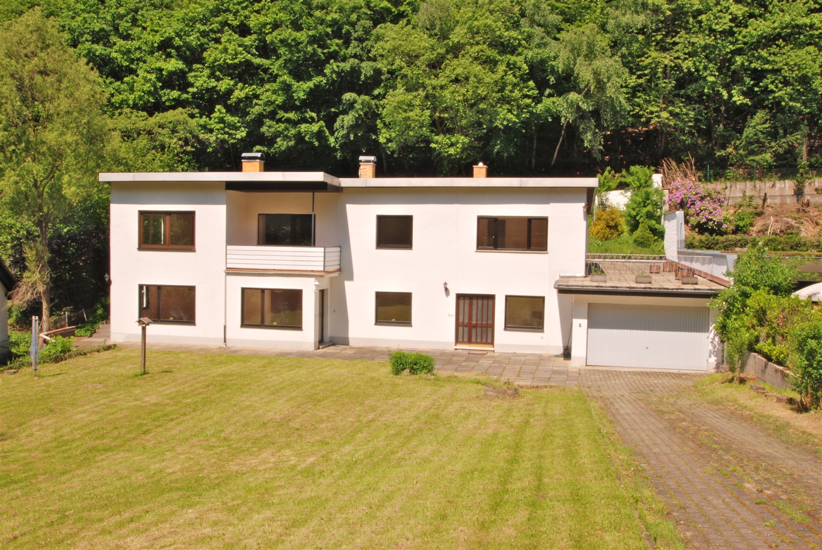 viel rasen und zufahrt zur garage mit übergröße - Oliver Reifferscheid - Immobilienmakler Darmstadt