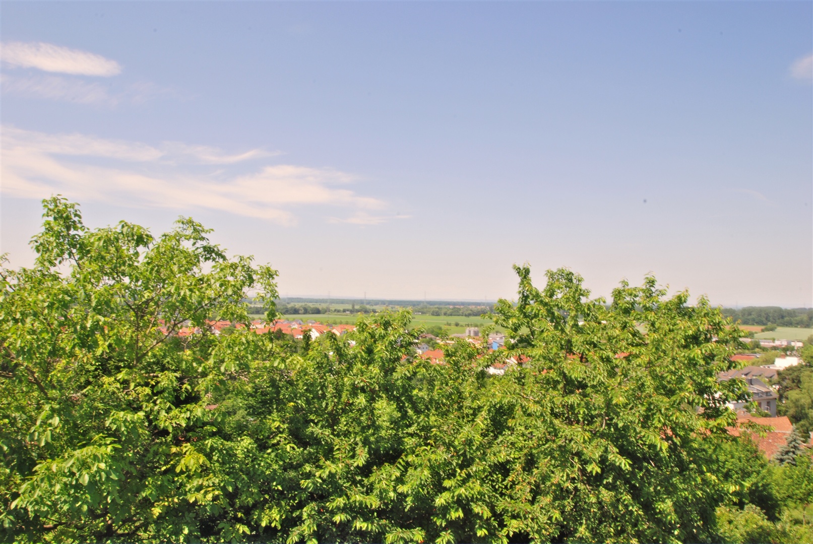 panoramablick in die rheinebene vom wohn- ess- kochraum aus - Oliver Reifferscheid - Immobilienmakler Darmstadt