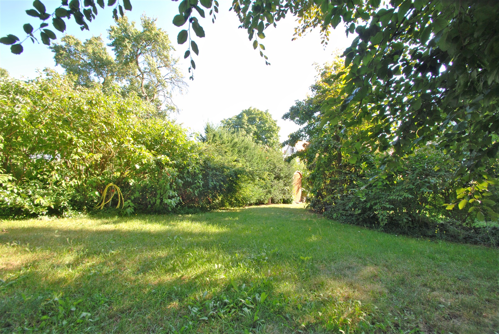 ihre eigene, geschützte gartenparzelle, hier können sie mit ihren freunden grillen und chillen - Oliver Reifferscheid - Immobilienmakler Darmstadt