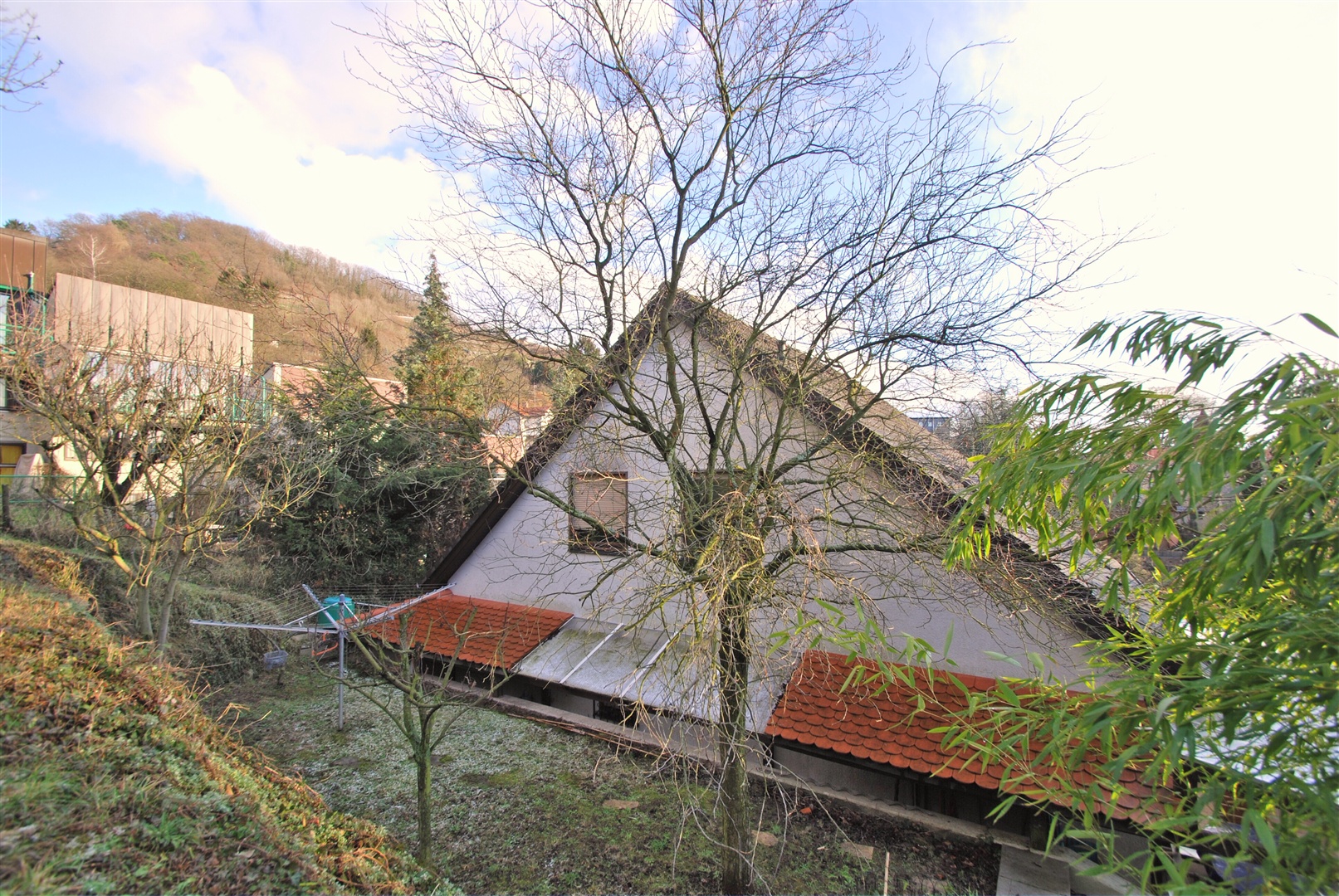 garten hinter dem haus mit freiem blick richtung südliches zwingenberg - Oliver Reifferscheid - Immobilienmakler Darmstadt