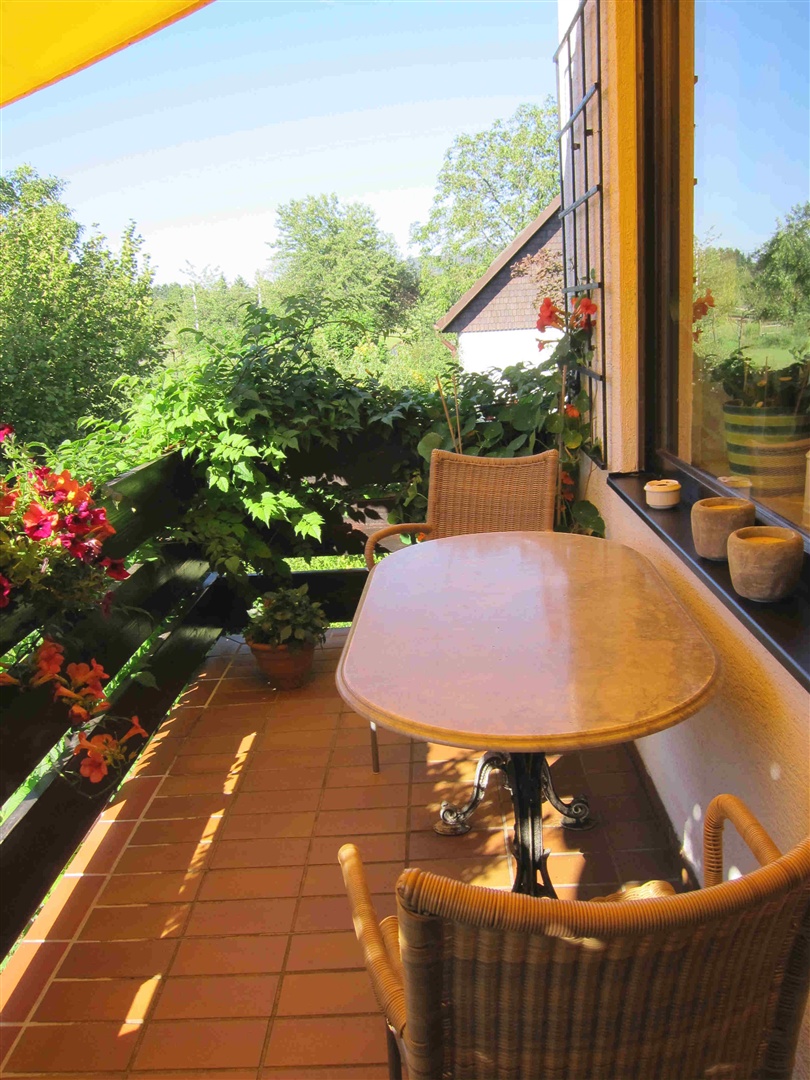 westbalkon vor dem esszimmer im sommer, bild wurde vom verkäufer geliefert - Oliver Reifferscheid - Immobilienmakler Darmstadt