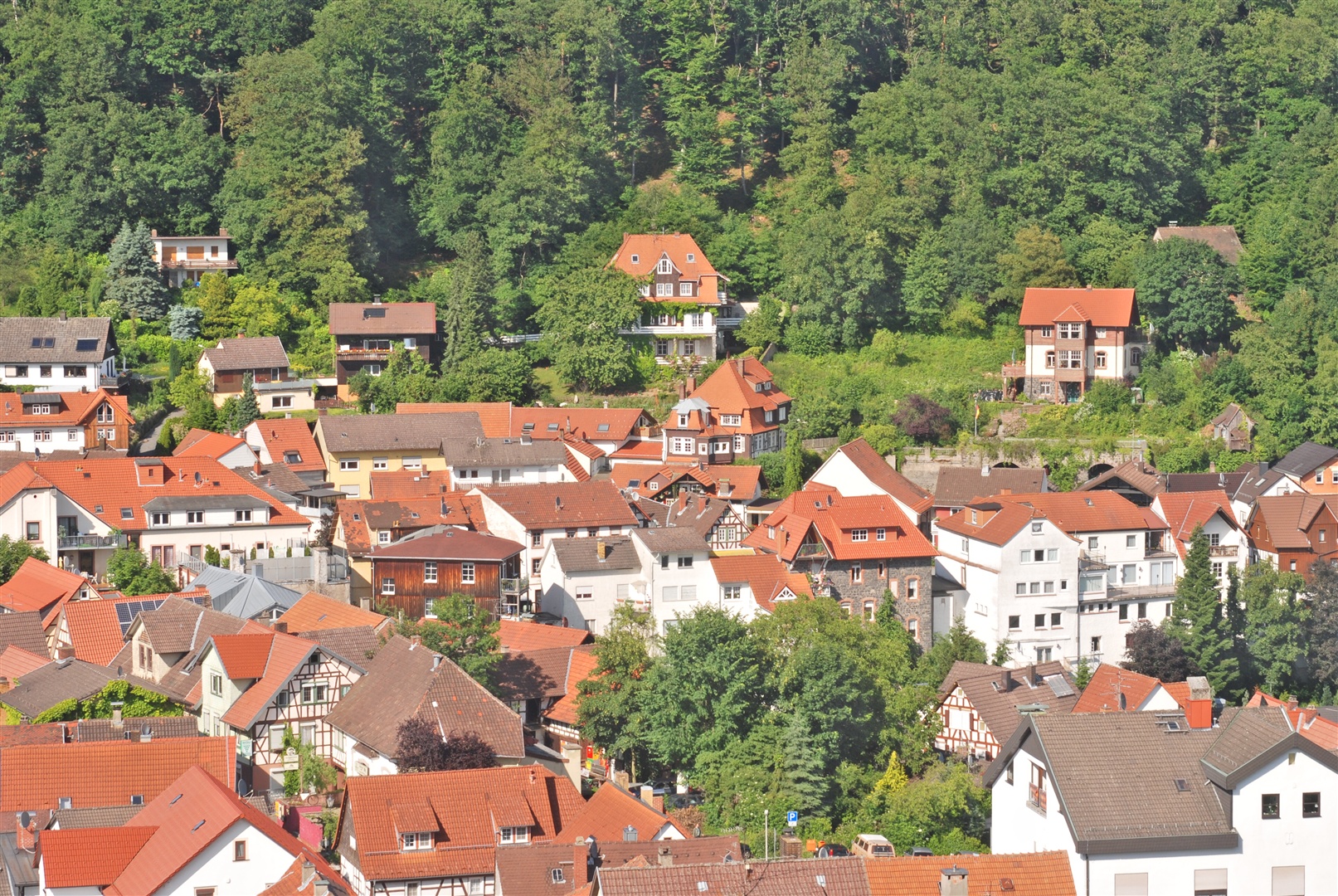 Blick von der gegenüberliegenden Burg Lindenfels auf die Villa und die Ortschaft Lindenfels. - Oliver Reifferscheid - Immobilienmakler Darmstadt