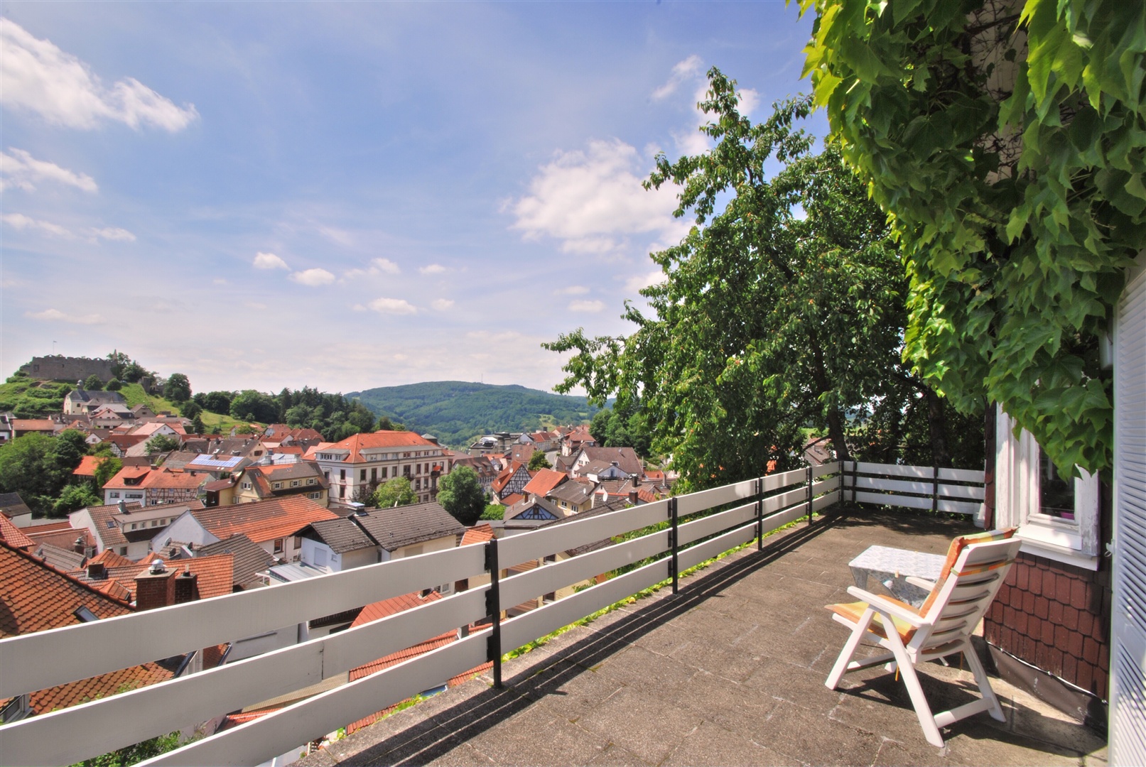 Der wunderschöne Blick Richtung Norden und auf die Burg im Süd-Westen. - Oliver Reifferscheid - Immobilienmakler Darmstadt