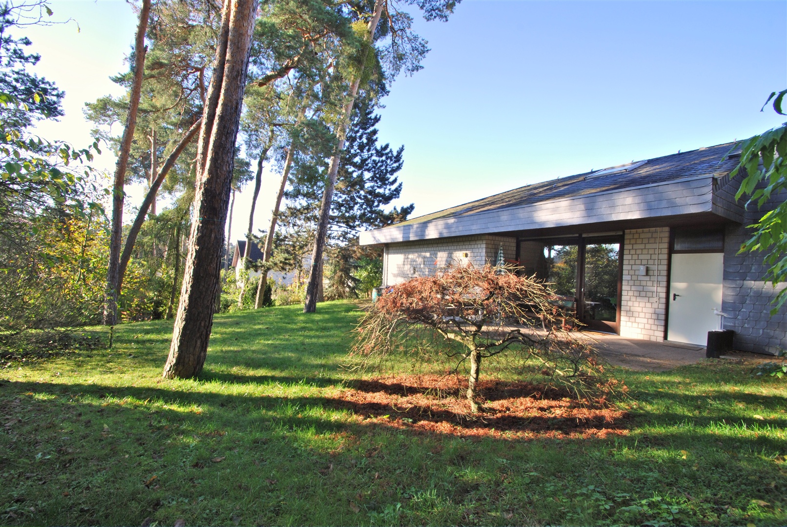 Blick von Norden Richtung Süden zum Bungalow und der Süd-Ostterrasse - Oliver Reifferscheid - Immobilienmakler Darmstadt
