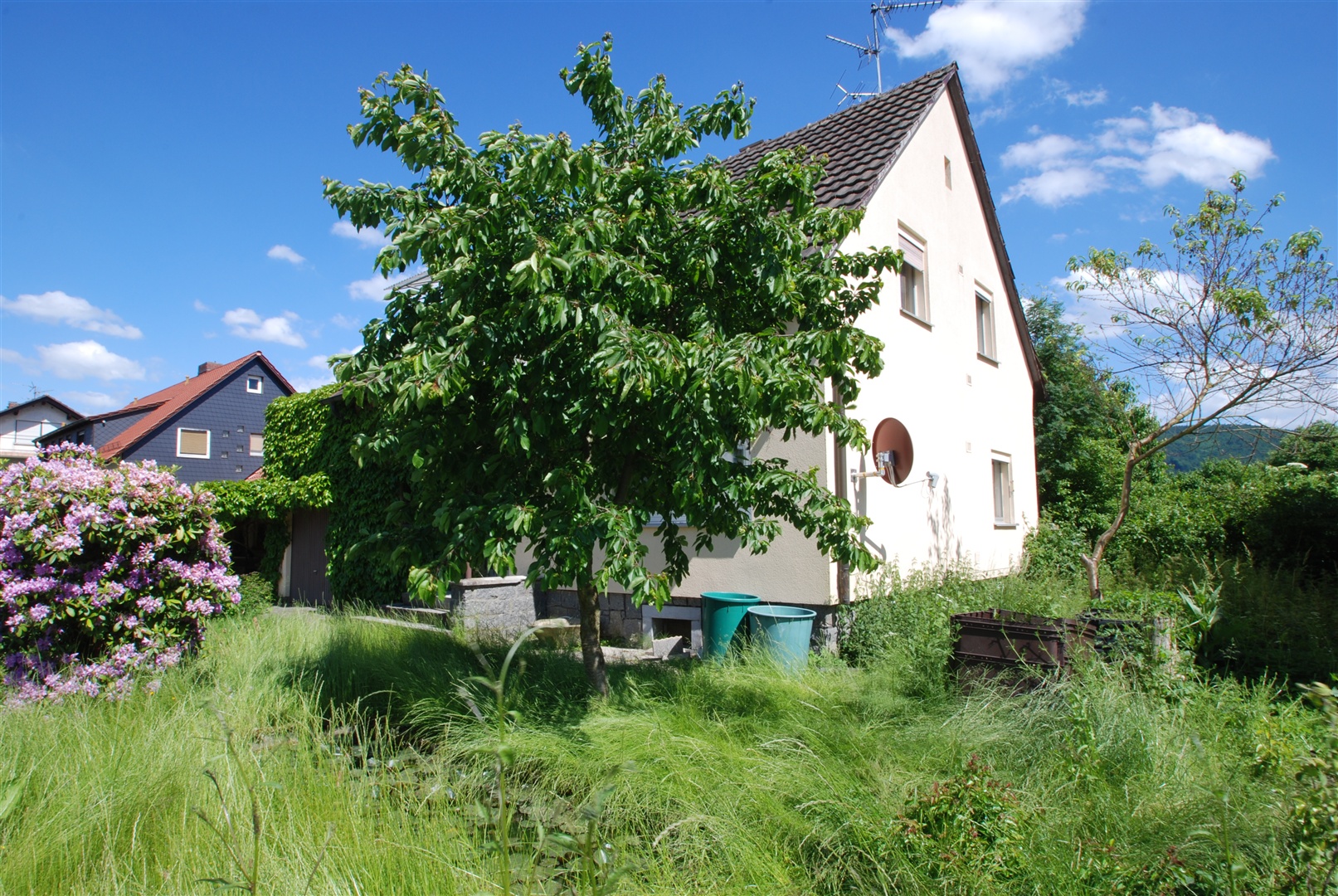 Viel Platz im Vorgarten - Oliver Reifferscheid - Immobilienmakler Darmstadt