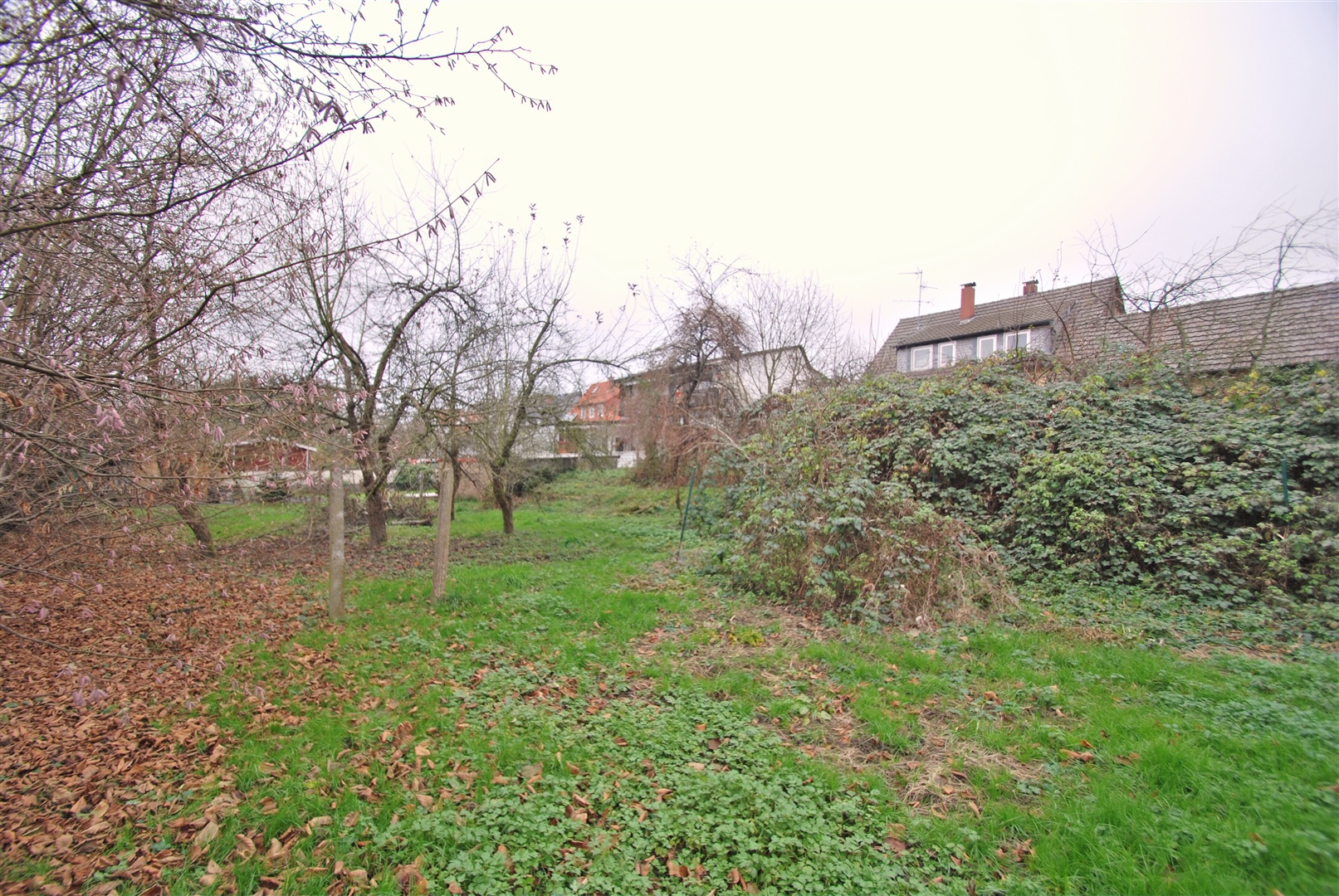Sehr großer Garten auf der Rückseite des Hauses - Oliver Reifferscheid - Immobilienmakler Darmstadt