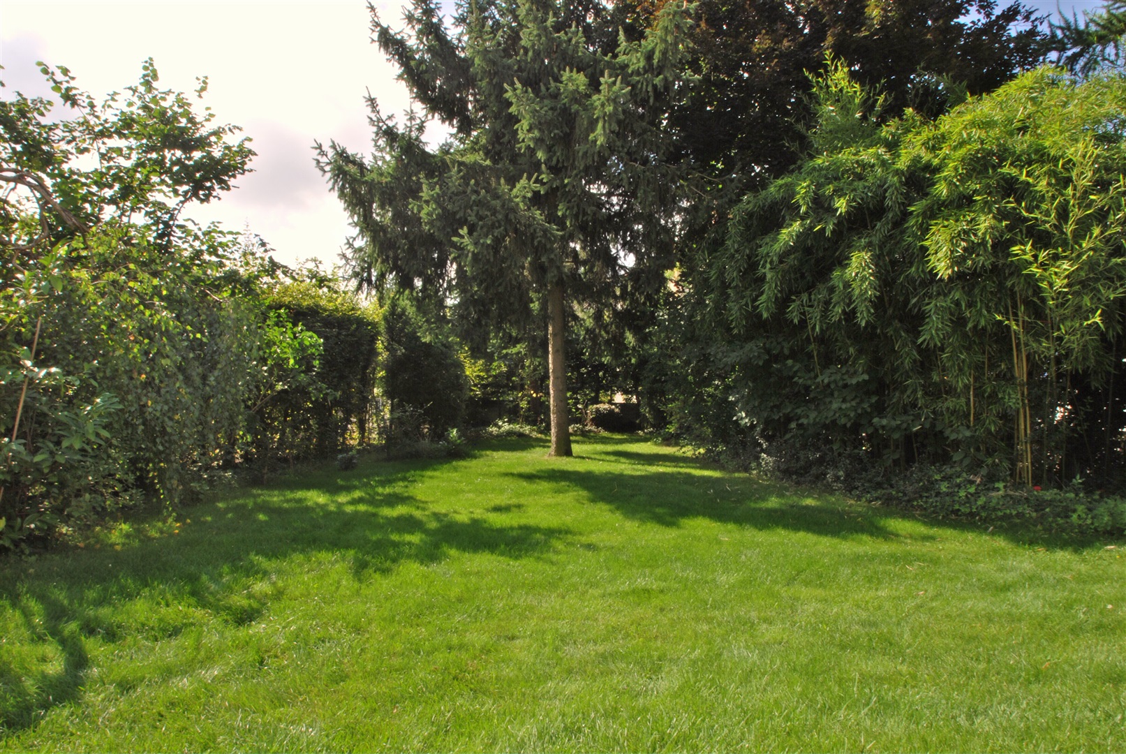 Blick von der Terrasse in den gepflegten Südgarten. Der Garten ist geschickt angelegt. Die Nachbarn haben so gut wie keine Einblicke. - Oliver Reifferscheid - Immobilienmakler Darmstadt
