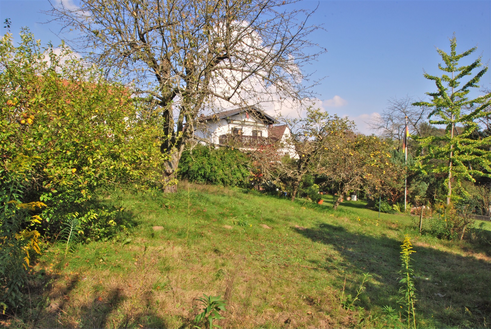 Großer Garten ein Traum für Kinder und Gartenliebhaber - Oliver Reifferscheid - Immobilienmakler Darmstadt