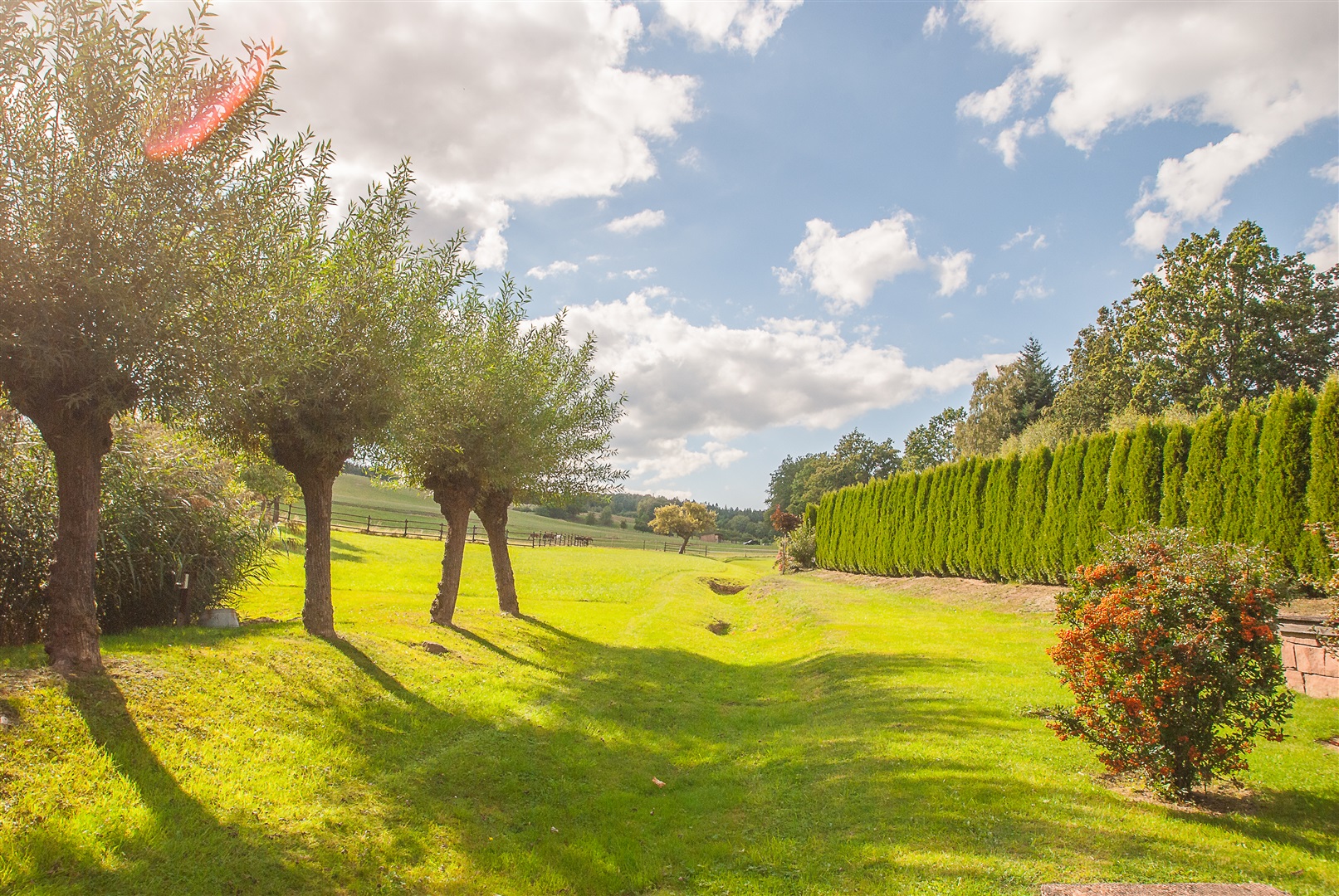 Wunderschönes Pferdegrundstück mit unterschiedlichen Gartenbereichen: z.B. Nutzgarten, Ziergarten, 2 x Teichanlage, Terrassen, überdachte Partyterrasse mit Whirlpool, Springplatz, Paddock, Führanlage, Innenhof, Holzdielenterrasse usw usw - Oliver Reifferscheid - Immobilienmakler Darmstadt