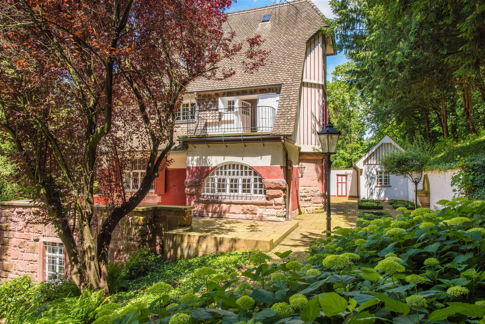 Wunderschöne Hortensienblüten direkt vor der Südterrasse. - Oliver Reifferscheid - Immobilienmakler Darmstadt