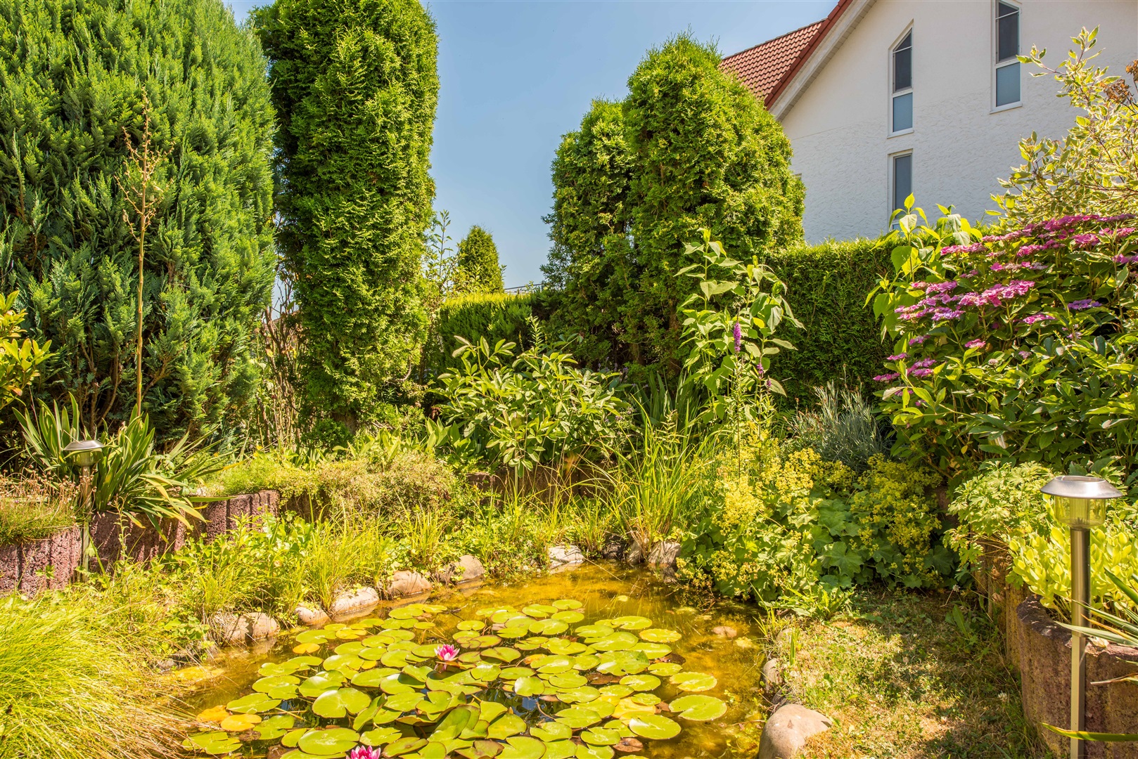Kleiner Teich direkt hinter der 2 Meter hohen Hecke. - Oliver Reifferscheid - Immobilienmakler Darmstadt