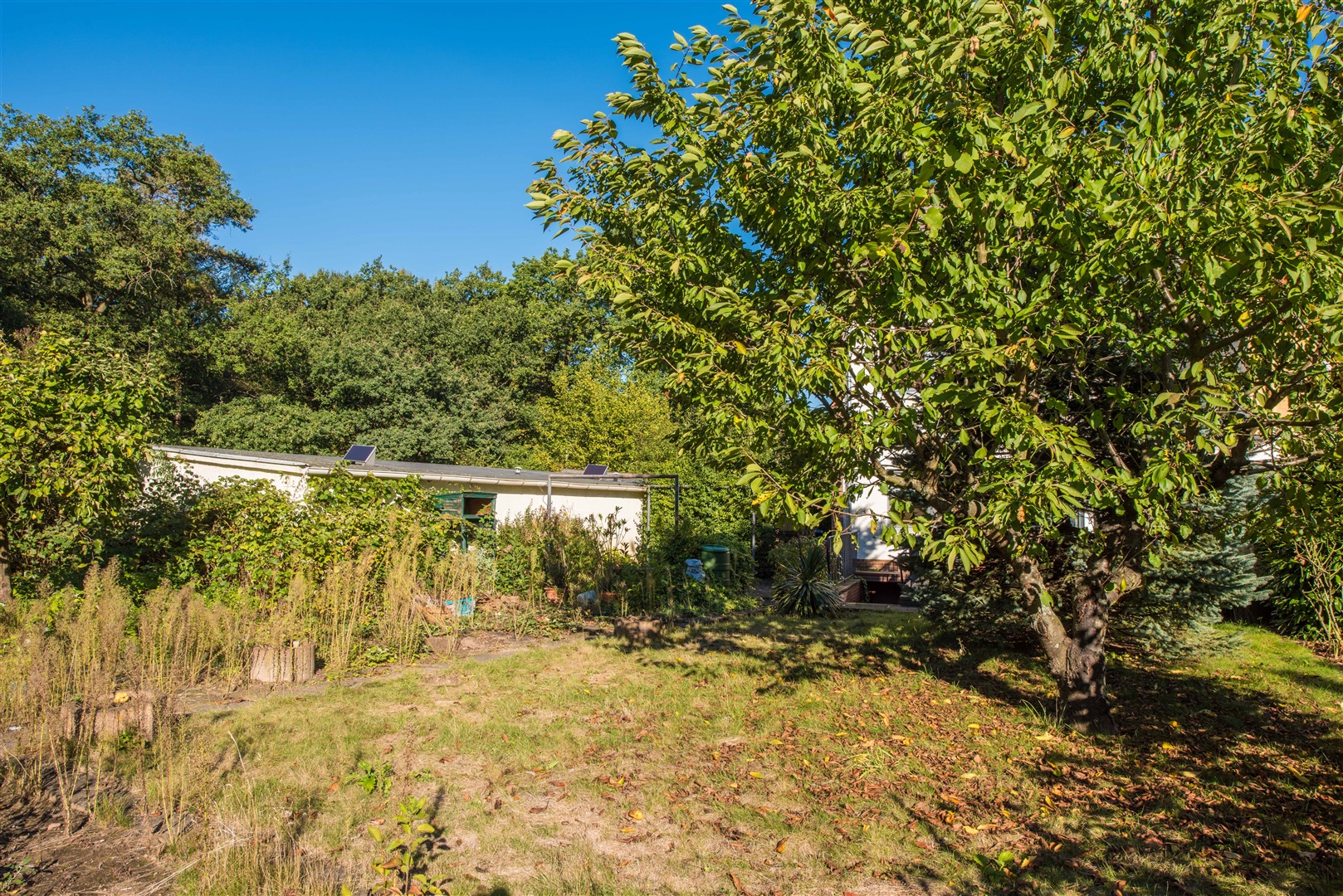 Im Hintergrund die Garage mit elektrischem Tor. Direkt im Anschluss der große Nutzgarten für's eigene biologische Gemüse. - Oliver Reifferscheid - Immobilienmakler Darmstadt