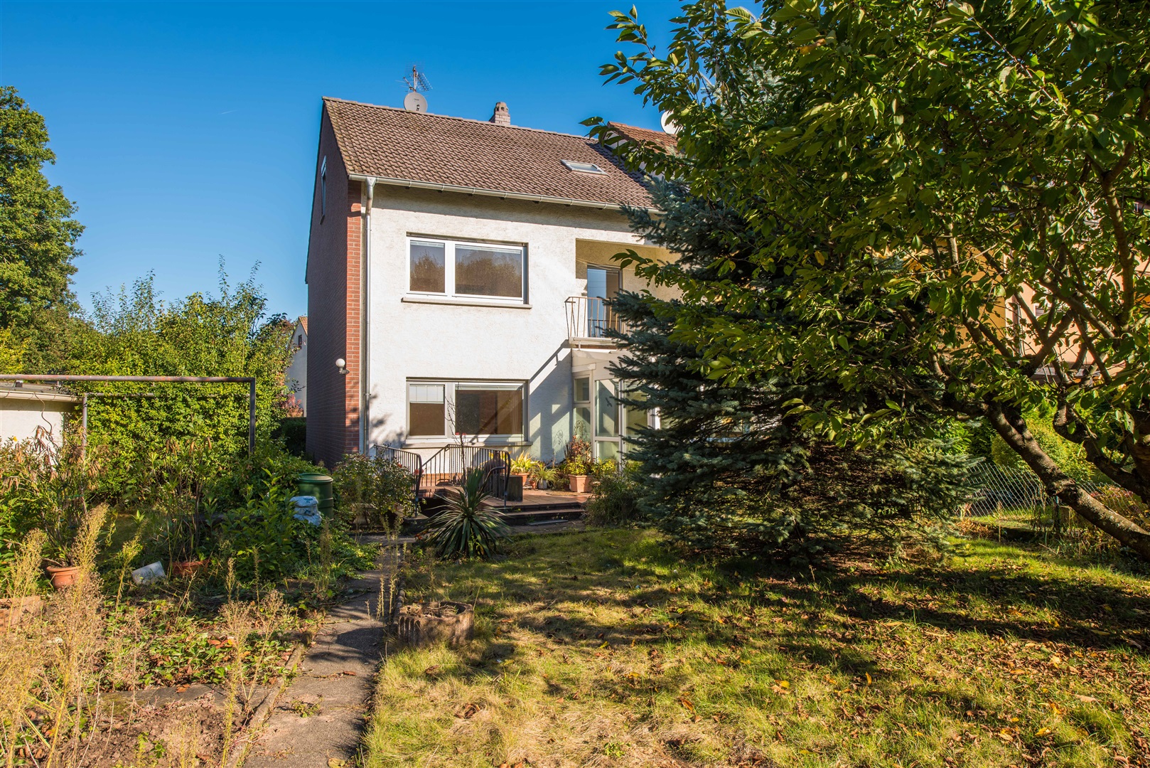 Süßkischbaum direkt am Haus. - Oliver Reifferscheid - Immobilienmakler Darmstadt