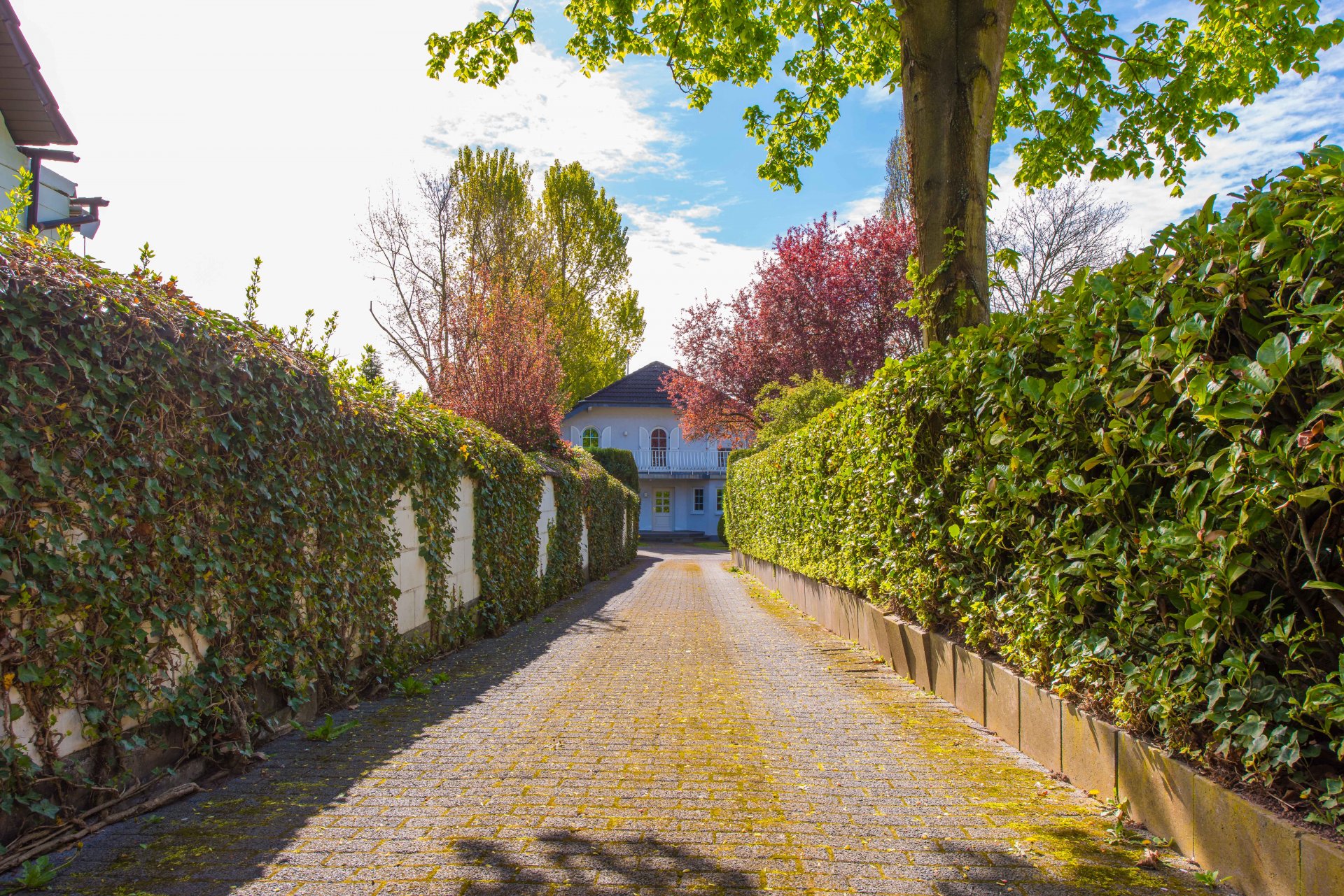 Die eigene Zufahrt lässt fremde Blicke draußen - Oliver Reifferscheid - Immobilienmakler Darmstadt