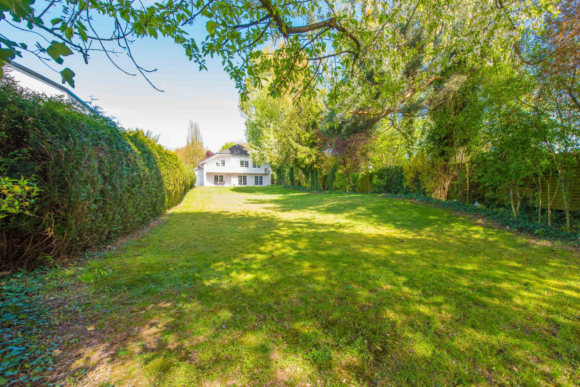 Sehr großzügigem Südgrundstück - Oliver Reifferscheid - Immobilienmakler Darmstadt