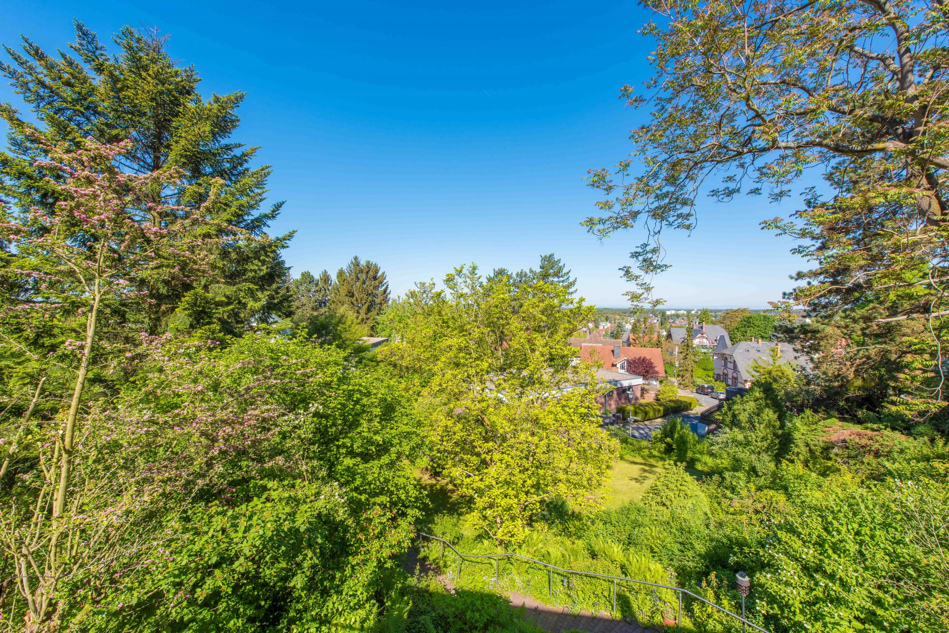 Blick vom Wohnzimmer in die Rheinebene - Oliver Reifferscheid - Immobilienmakler Darmstadt