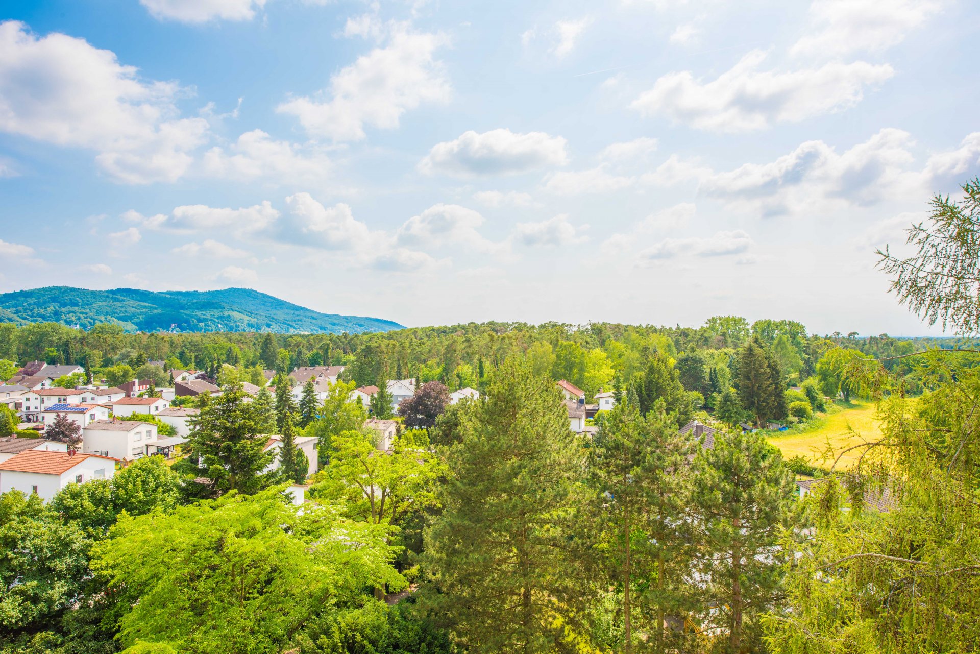 Das ist unverbaubar - Oliver Reifferscheid - Immobilienmakler Darmstadt