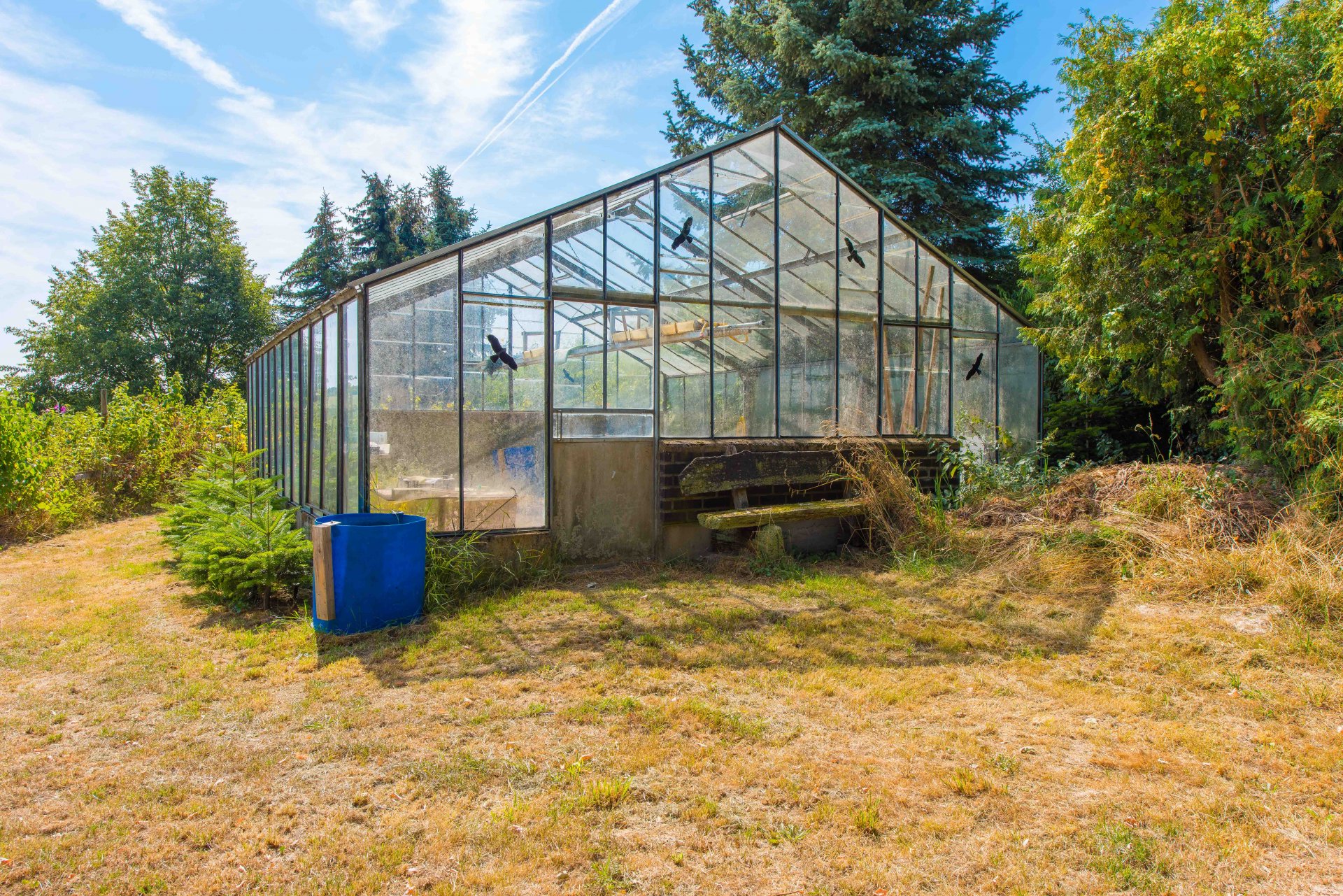 Endlich eigenes Gemüse - Oliver Reifferscheid - Immobilienmakler Darmstadt