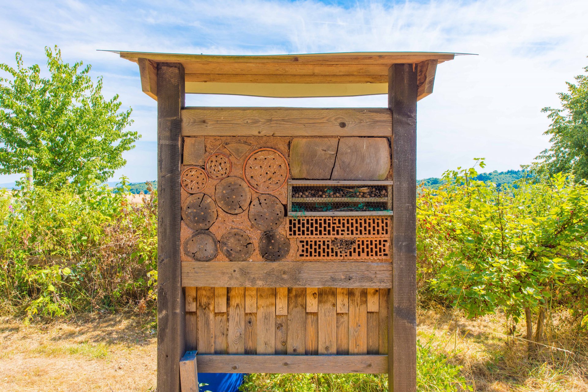 Insektenhotel beim Gewächshaus - Oliver Reifferscheid - Immobilienmakler Darmstadt