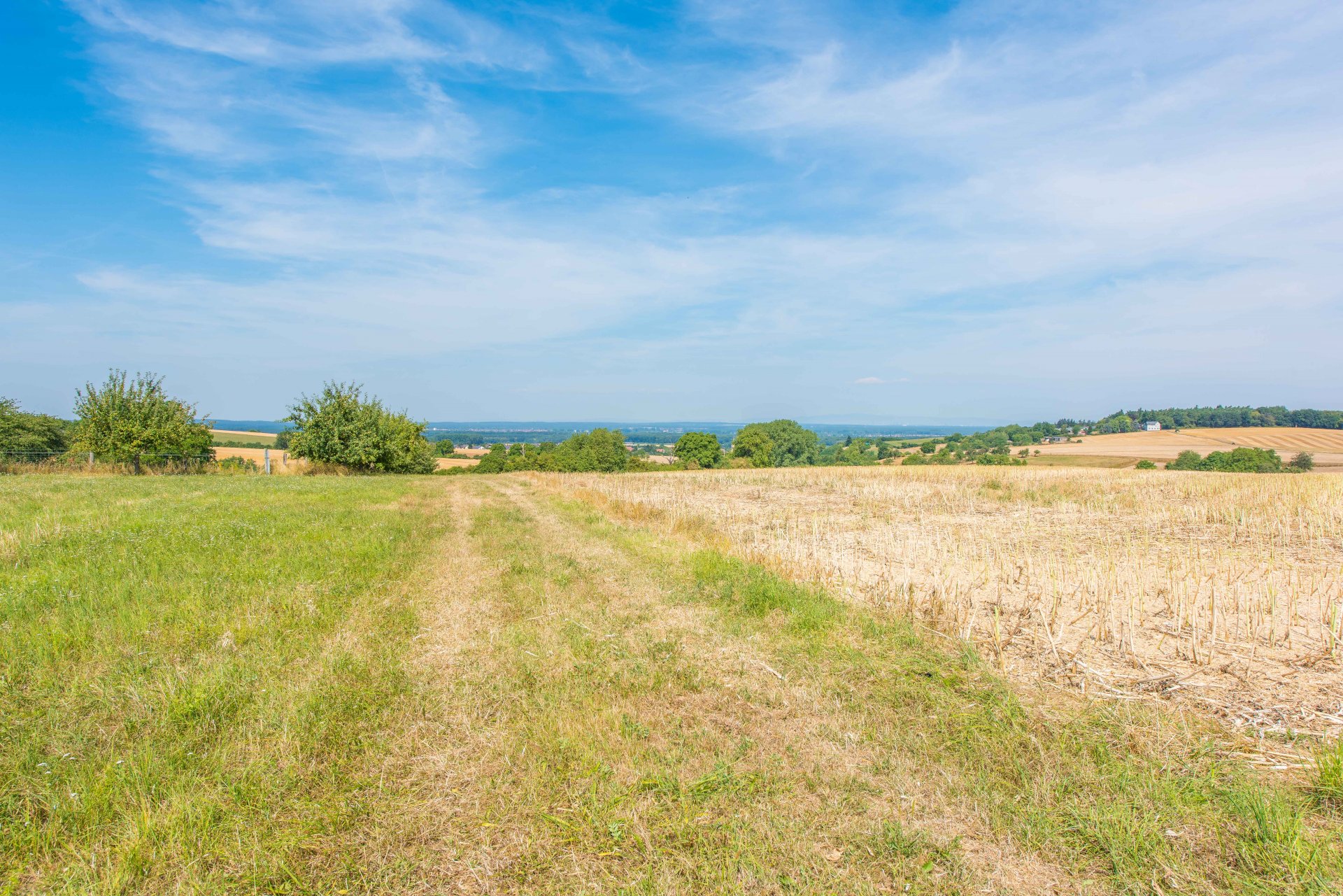 Blick nach Frankfurt bis zur Skyline - Oliver Reifferscheid - Immobilienmakler Darmstadt