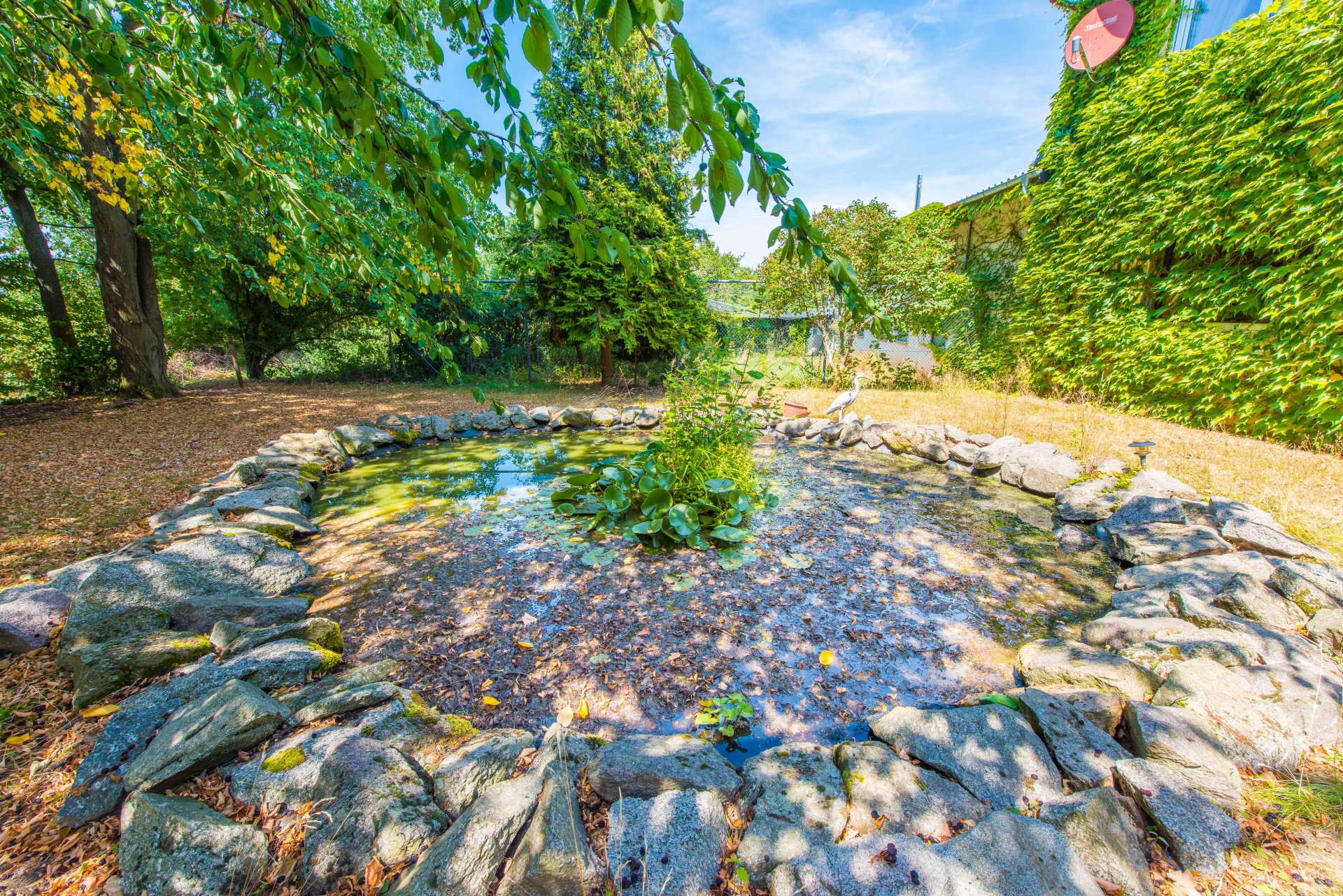 Teich am Haupthaus - Oliver Reifferscheid - Immobilienmakler Darmstadt