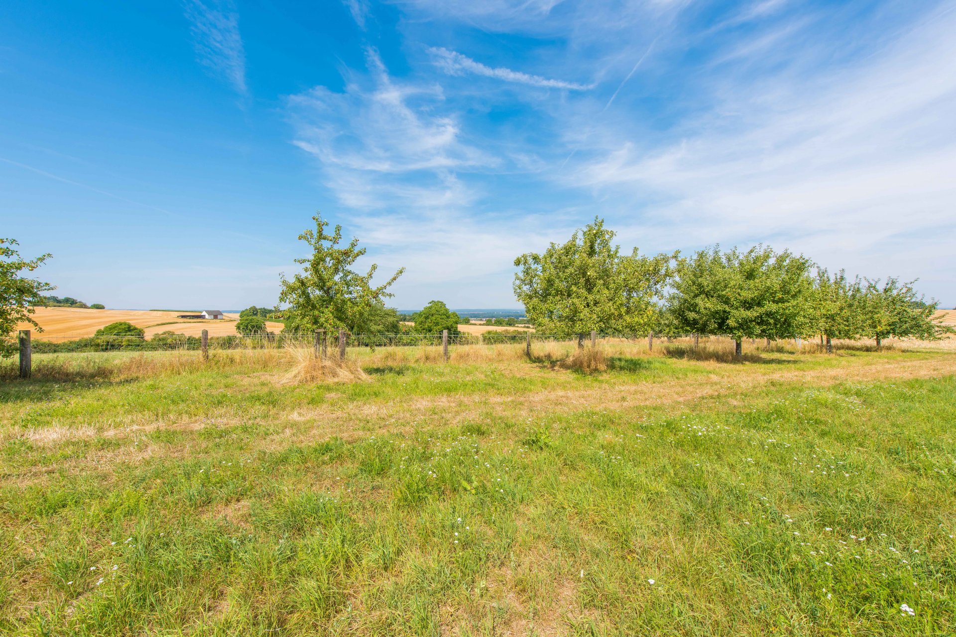 Obst mit Blick - Oliver Reifferscheid - Immobilienmakler Darmstadt