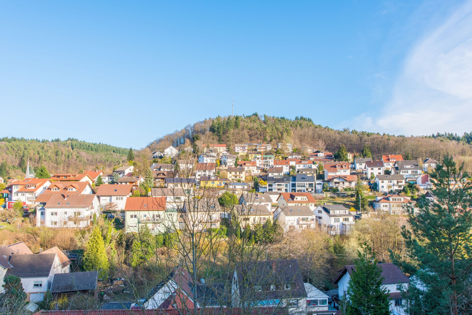Altenbach und und Ihr wirklich sehr schöner Blick - Oliver Reifferscheid - Immobilienmakler Darmstadt