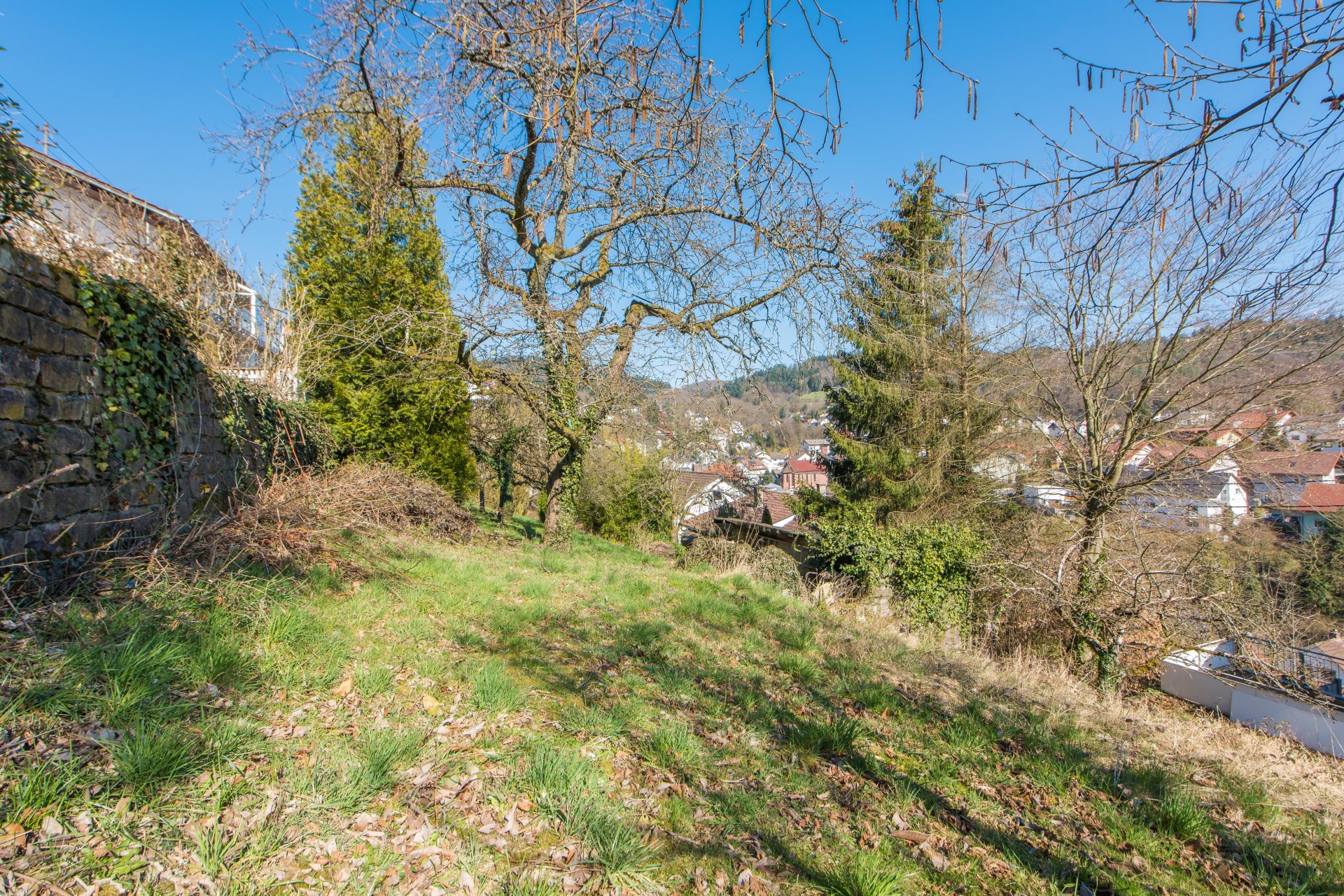 Sehr viel Platz zum Bauen - Oliver Reifferscheid - Immobilienmakler Darmstadt