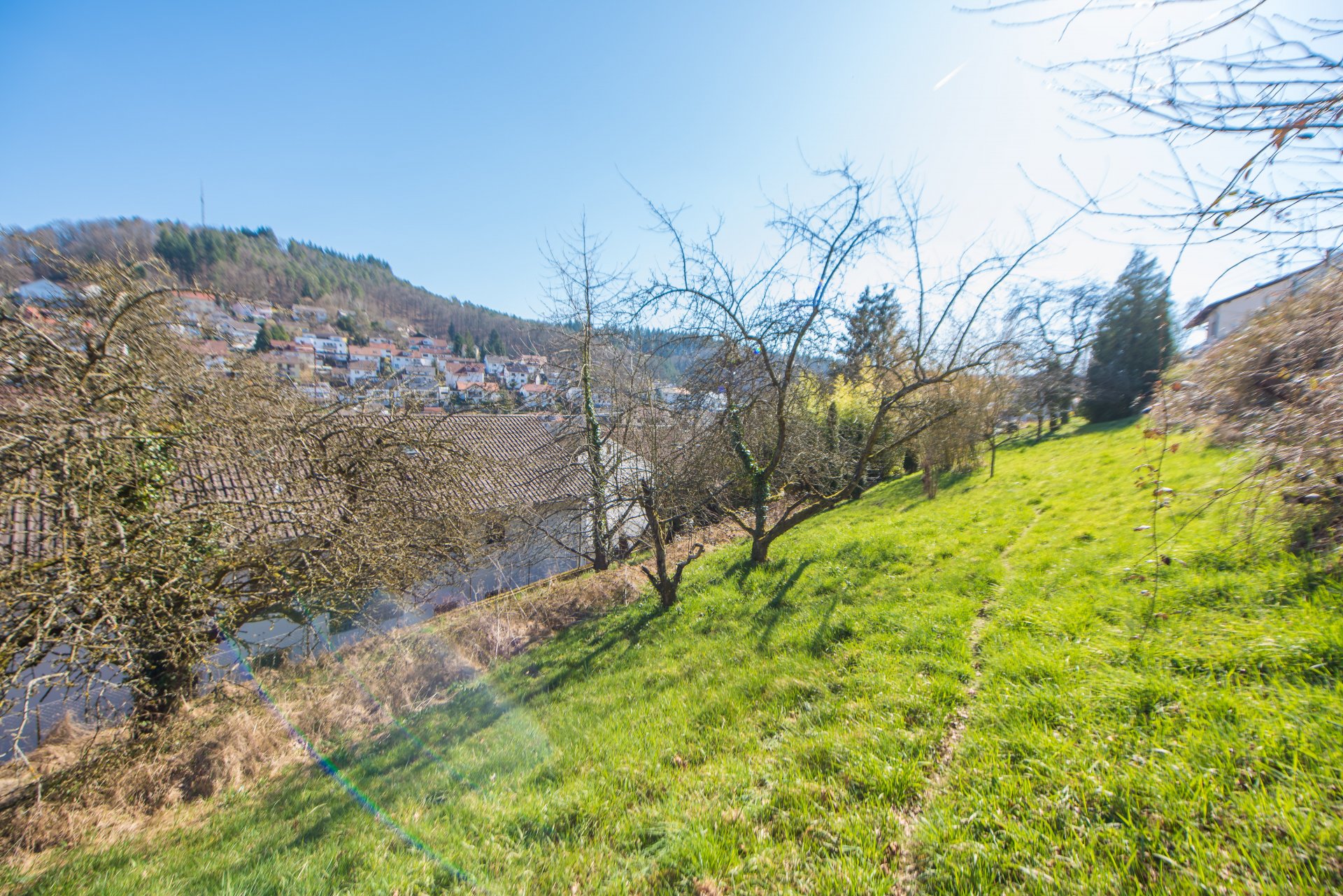 zur Bildergalerie Altenbach - Villengrundstück mit zusätzlichem Ein-, Zweifamilienhaus in Hanglage mit ordentlicher Substanz