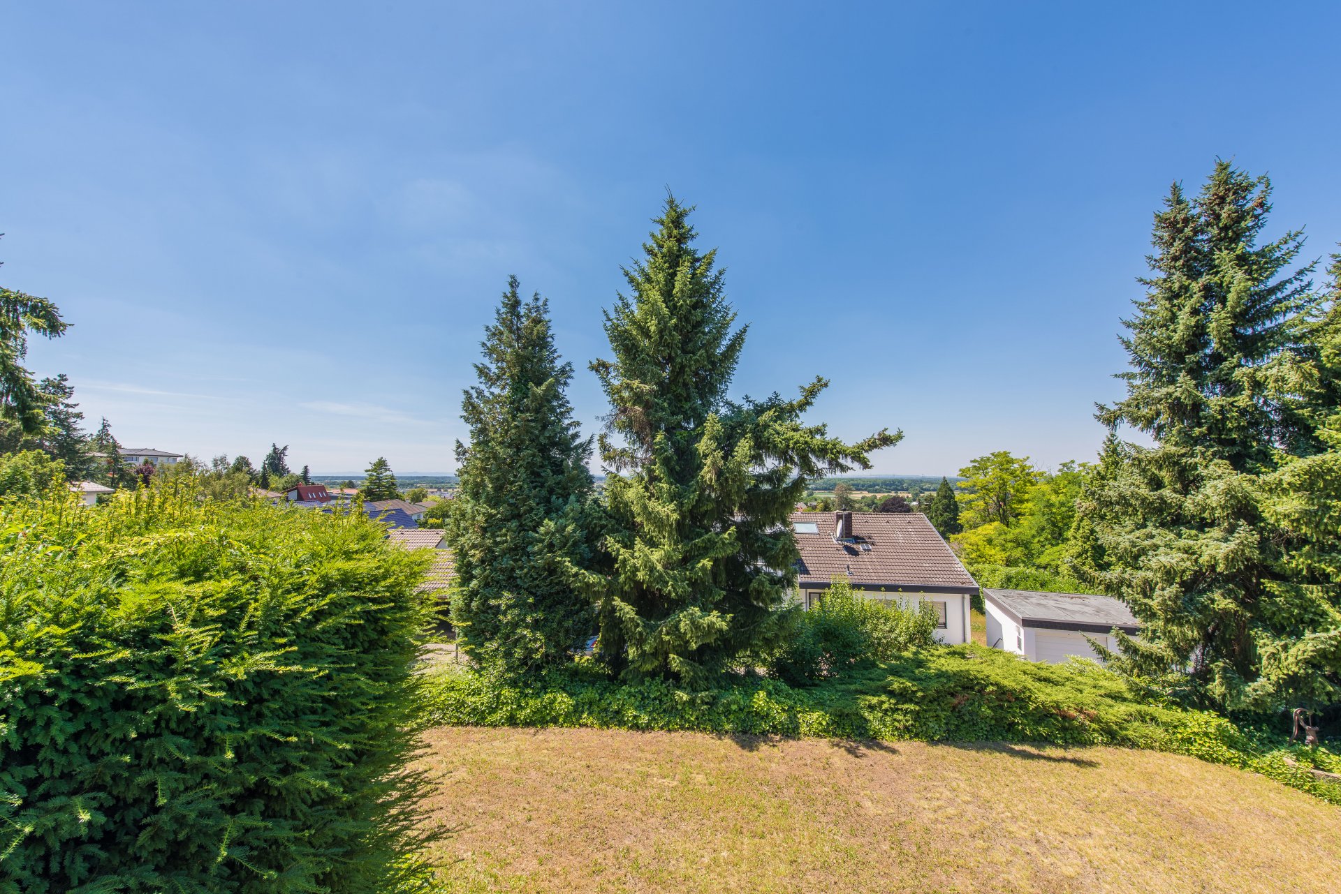 Blick in die Rheinebene - Oliver Reifferscheid - Immobilienmakler Darmstadt