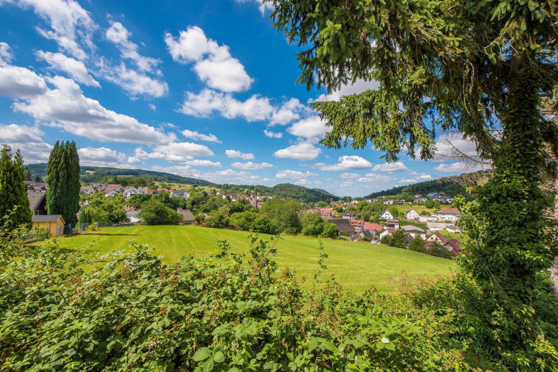 Atemberaubender Blick vom Grundstück aus - Oliver Reifferscheid - Immobilienmakler Darmstadt