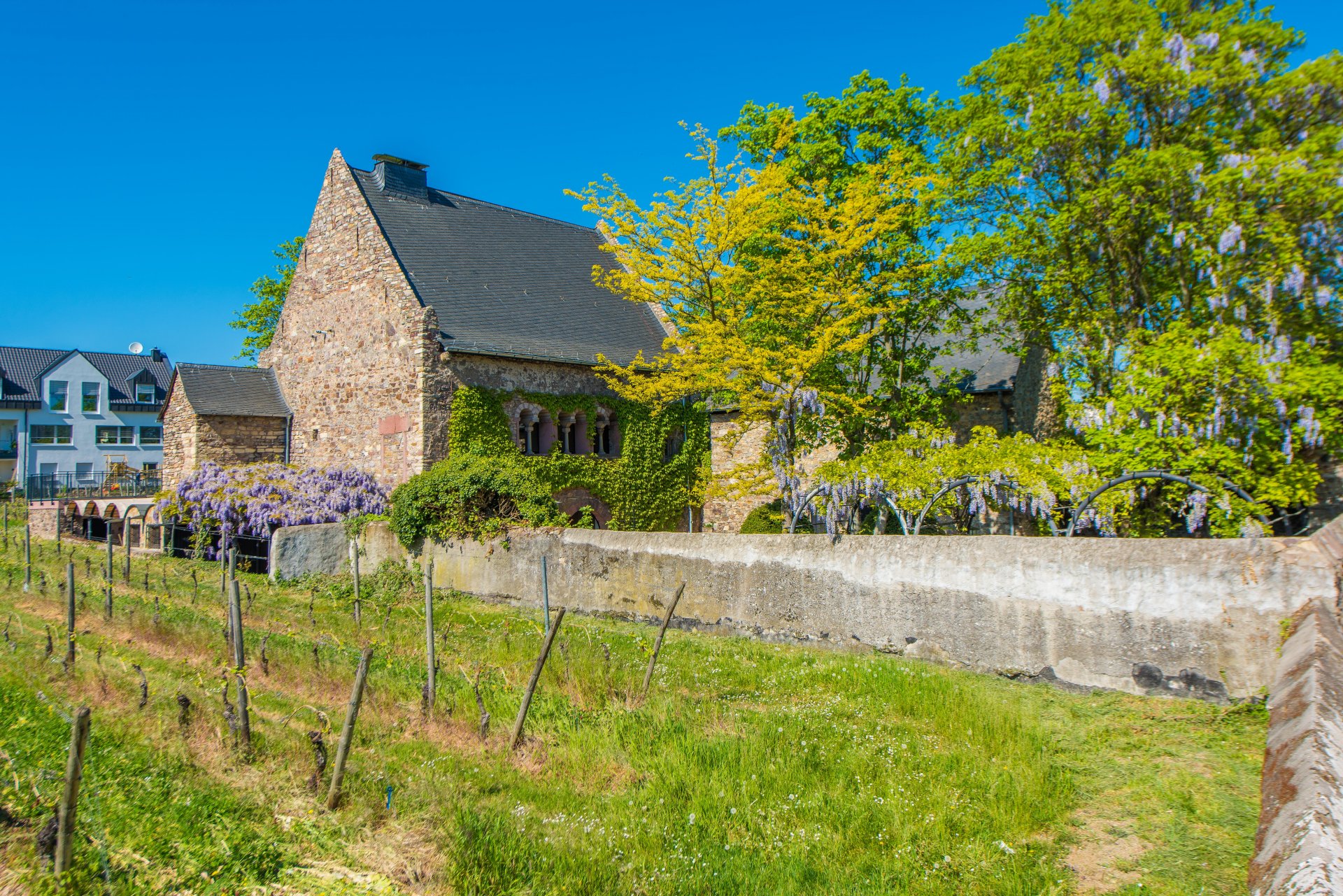 Schön eingebettet zwischen Rhein und Weinbergen - Oliver Reifferscheid - Immobilienmakler Darmstadt