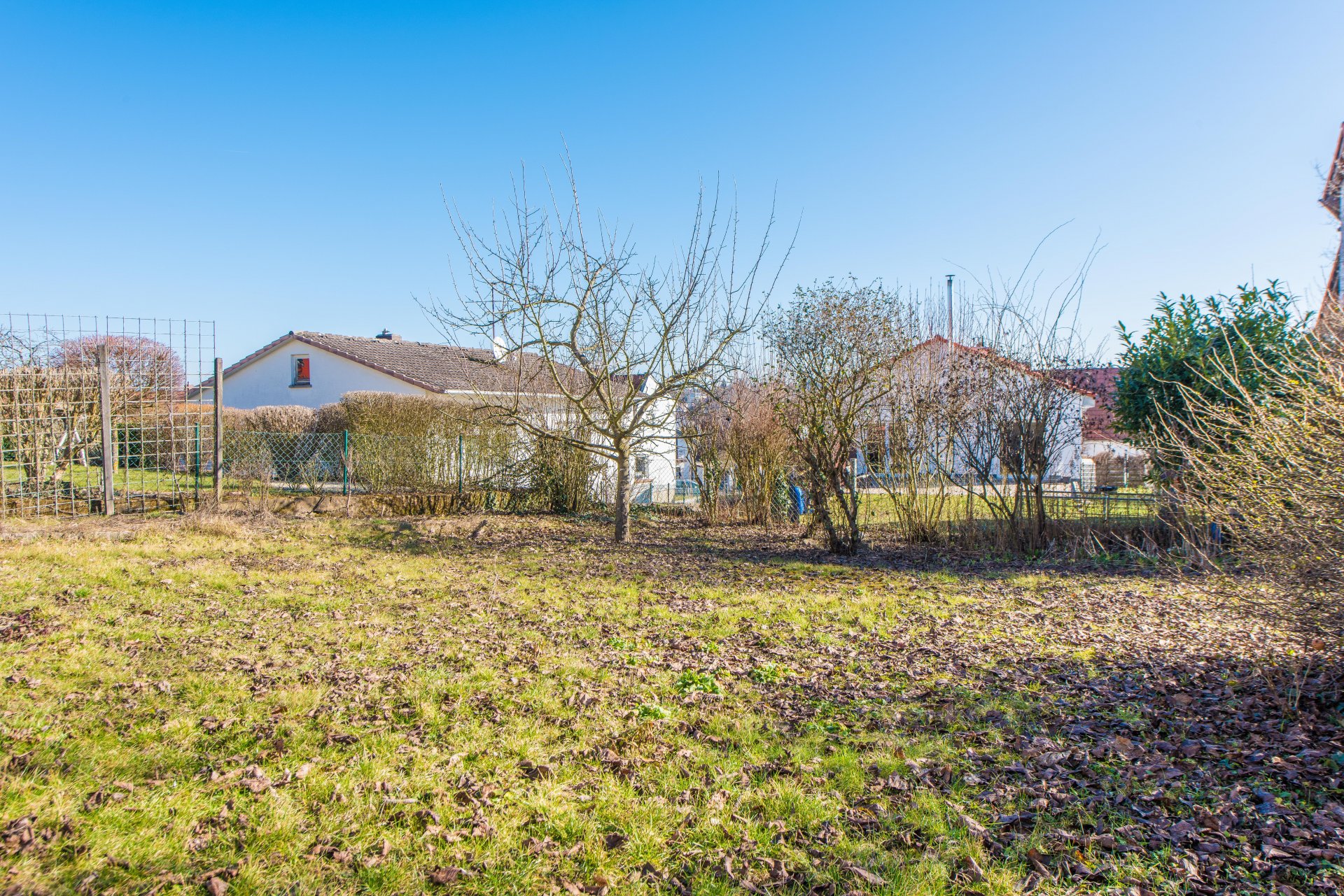 Gemüse, Obst, Rasen und Blick - Oliver Reifferscheid - Immobilienmakler Darmstadt