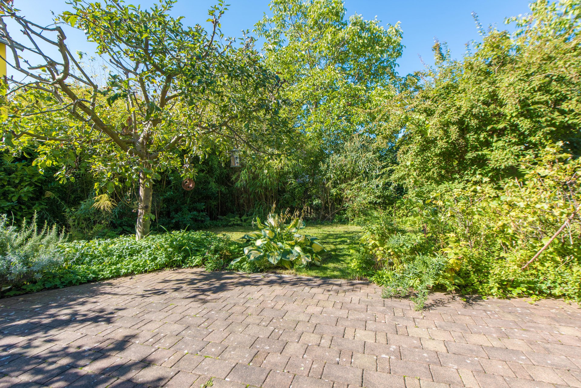 Westgarten mit großer Terrasse - Oliver Reifferscheid - Immobilienmakler Darmstadt