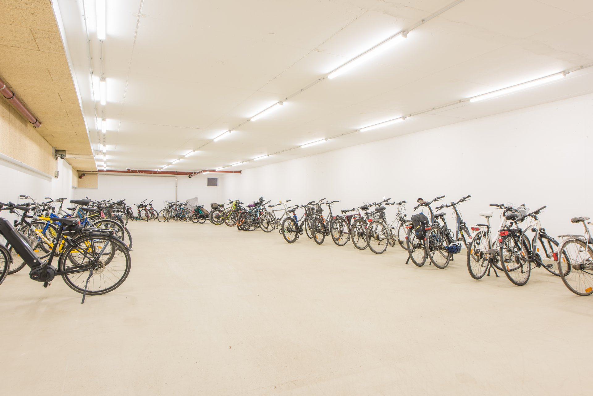 Riesiger Fahrradraum auch für Ihr Lastenfahrrad - Oliver Reifferscheid - Immobilienmakler Darmstadt