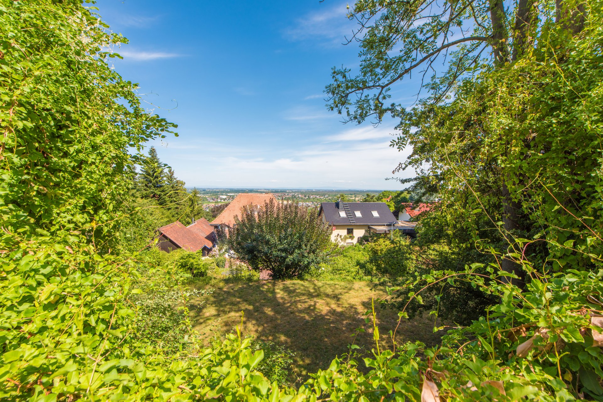 zur Bildergalerie Alsbach - Baugrundstück in bester, oberster Hanglage