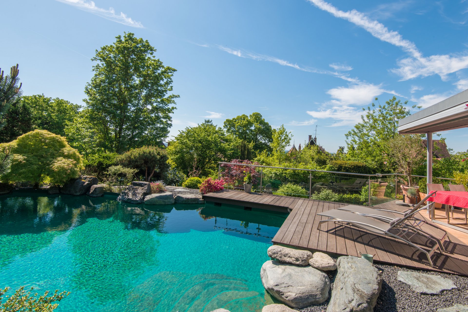 Pool mit reichlich Platz für die Sonnenliegenfans - Oliver Reifferscheid - Immobilienmakler Darmstadt
