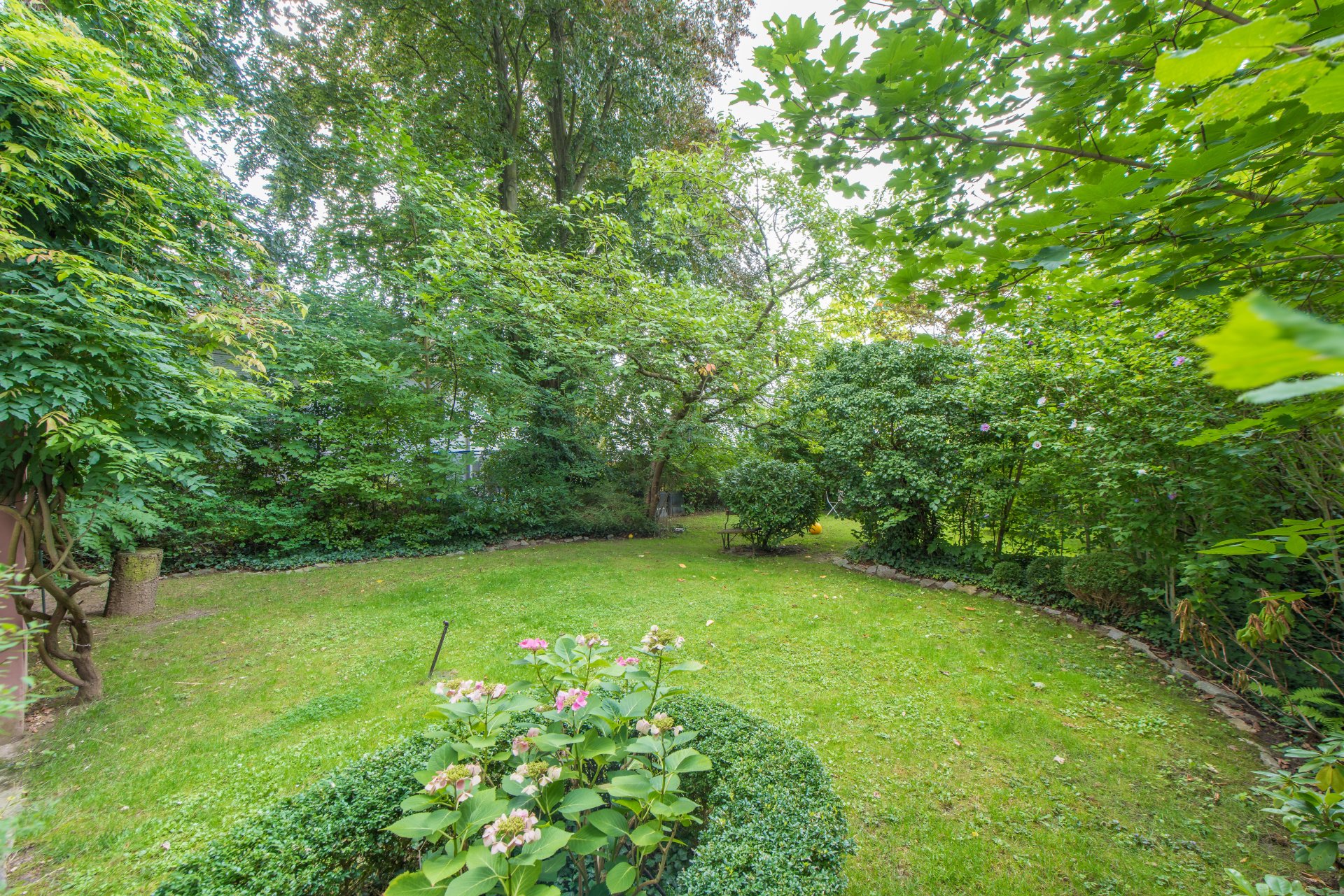 Grüner Garten - Ruhe für die Augen - Oliver Reifferscheid - Immobilienmakler Darmstadt