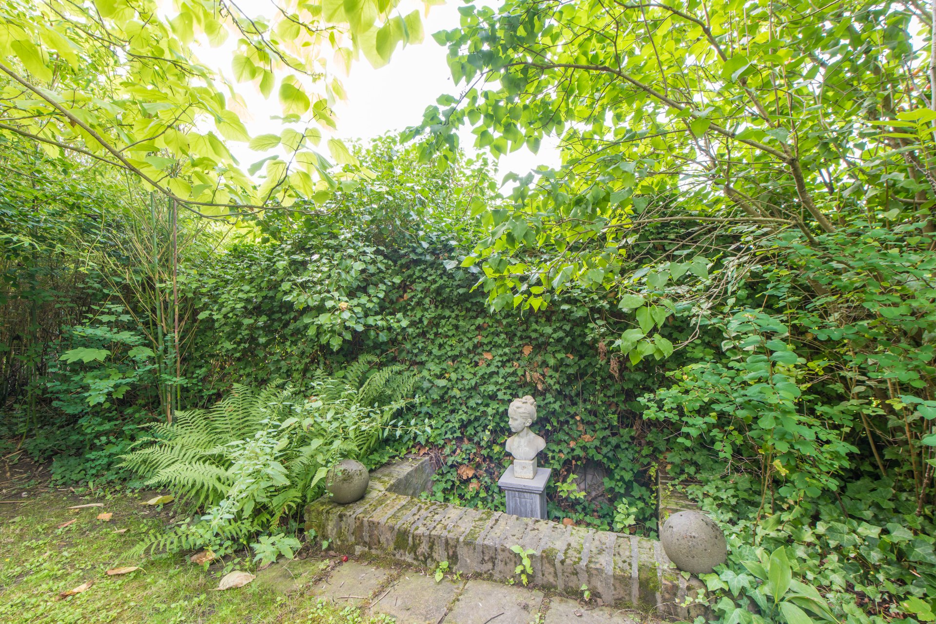 Blickfang und dichte Gartenhecke - Oliver Reifferscheid - Immobilienmakler Darmstadt