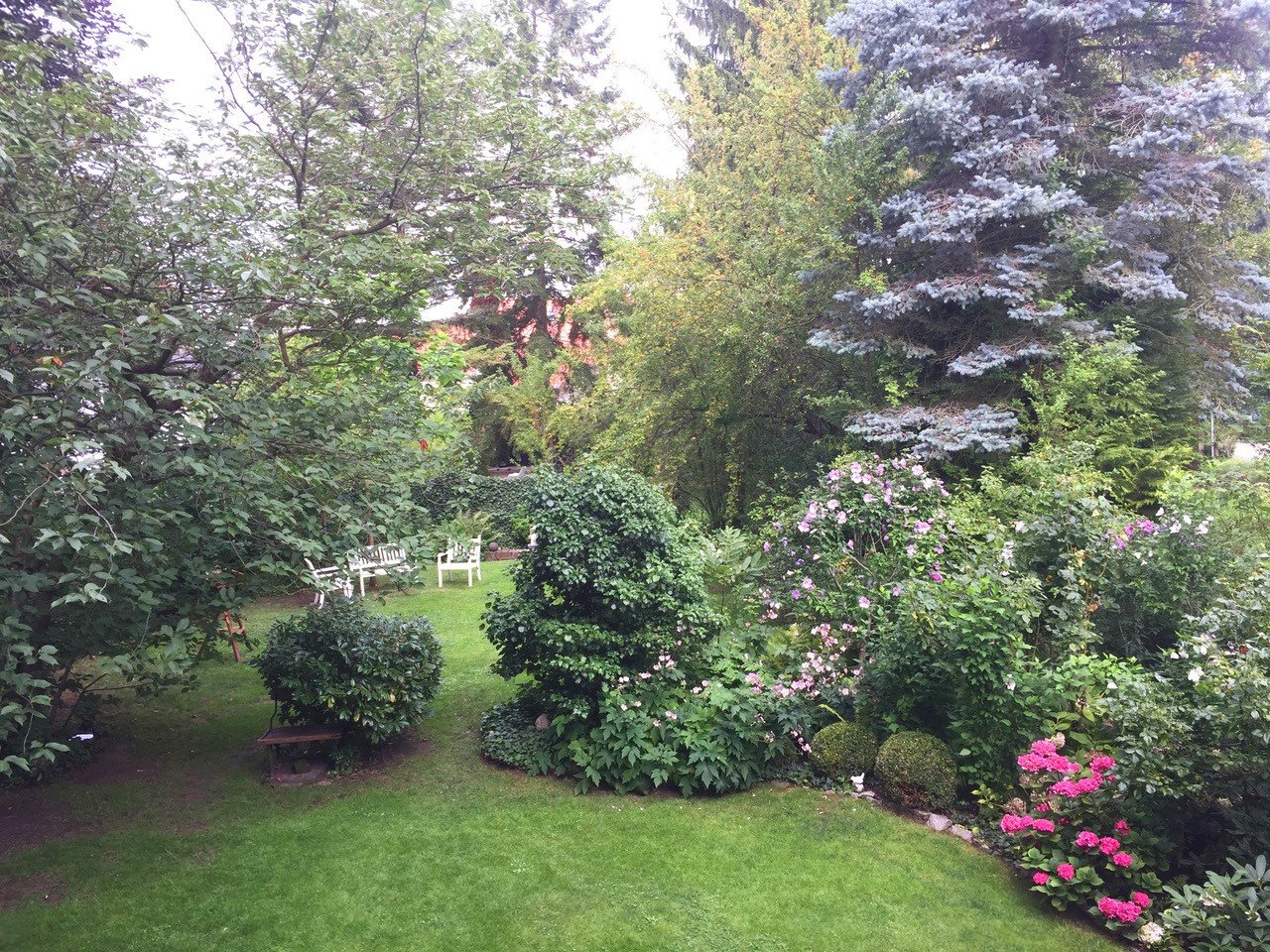 Sommerimpressionen - Bild vom Verkäufer - Oliver Reifferscheid - Immobilienmakler Darmstadt