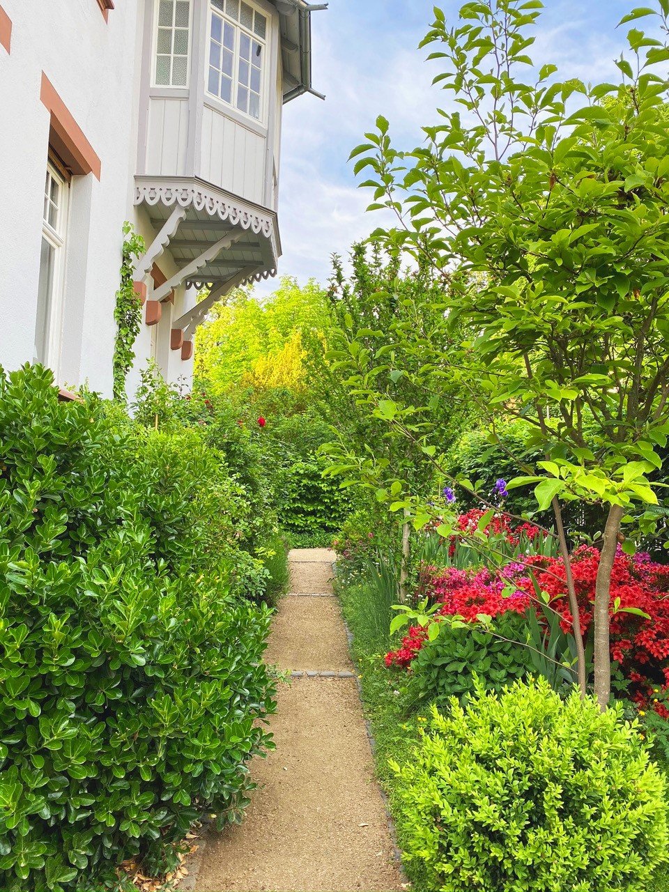 Historische Natursteine begrenzen die Beete zum Weg, Hecken begrenzen den Einblick, Bewässerungsanlage im Vorgarten - Oliver Reifferscheid - Immobilienmakler Darmstadt