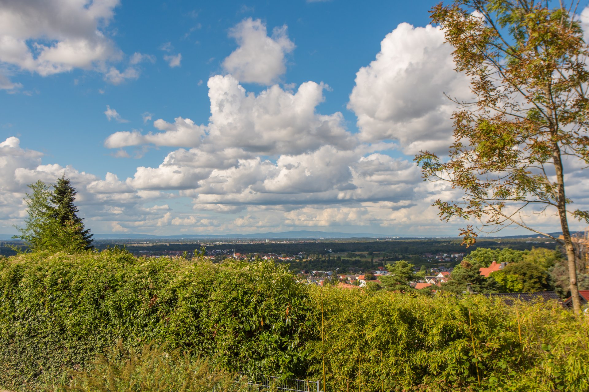 Blick ins Rheintal - Oliver Reifferscheid - Immobilienmakler Darmstadt