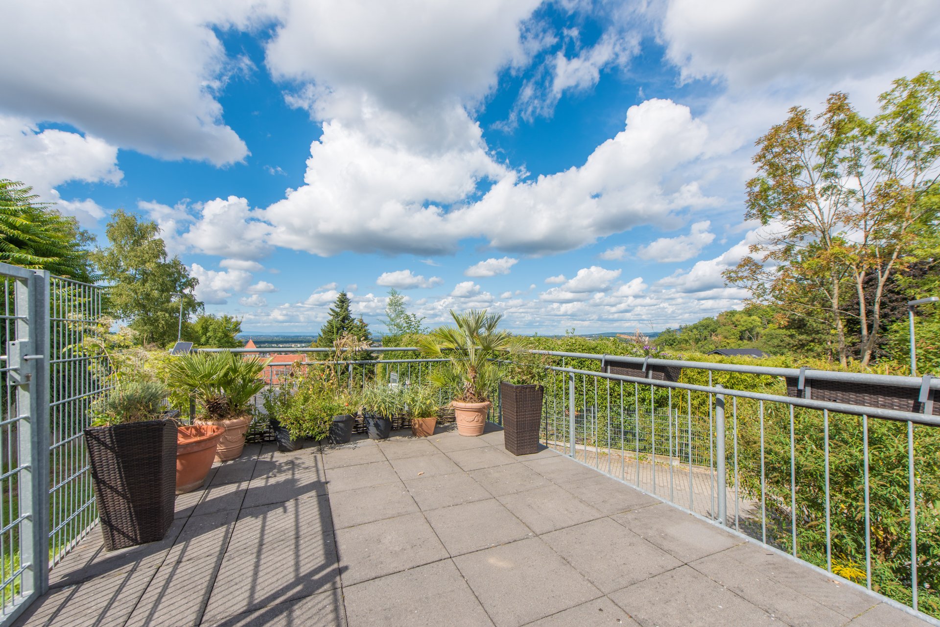 Terrasse mit Blick ins Rheintal und nach Frankfurt - Oliver Reifferscheid - Immobilienmakler Darmstadt