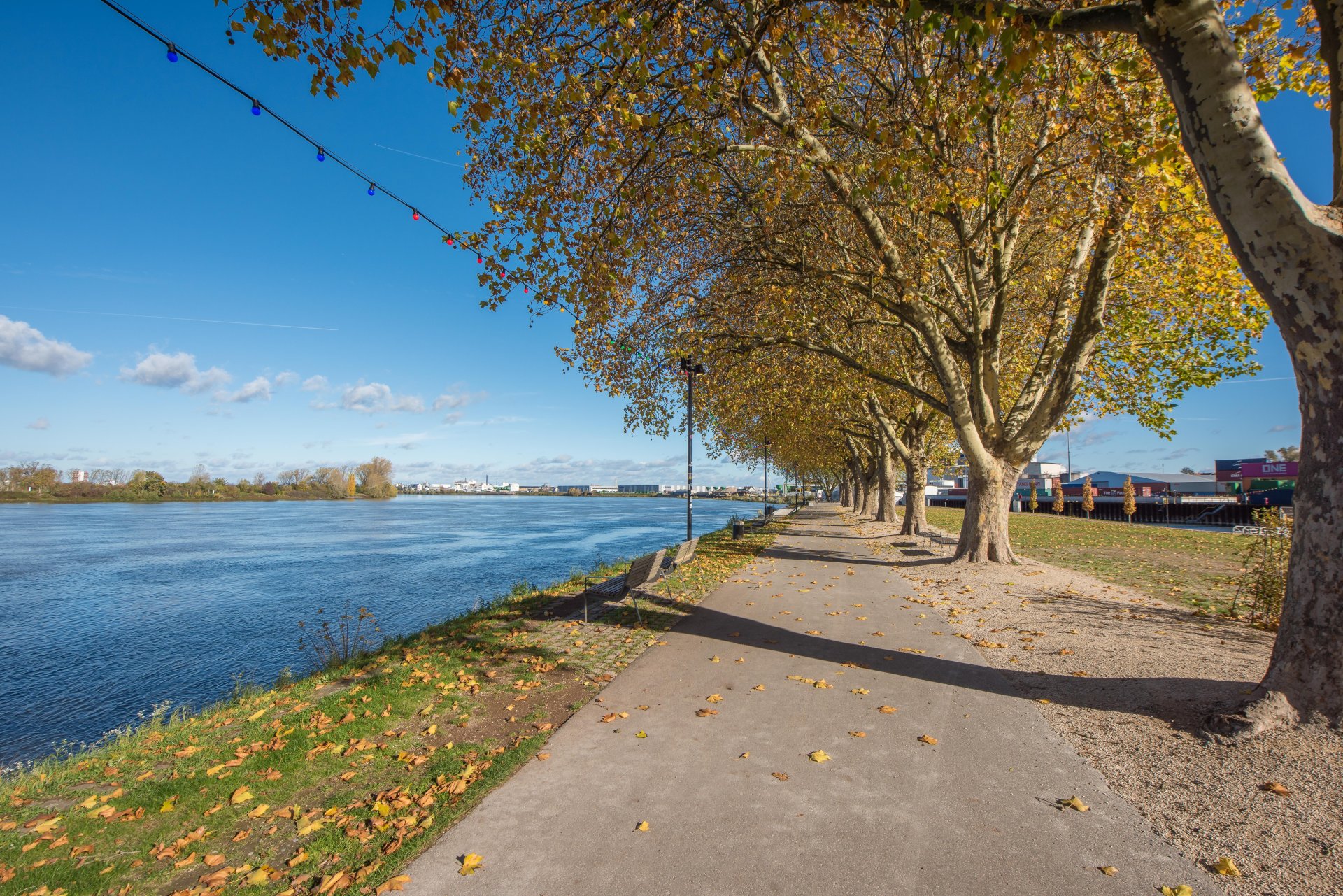 Neue Rheinpromenade in Gernsheim - Oliver Reifferscheid - Immobilienmakler Darmstadt
